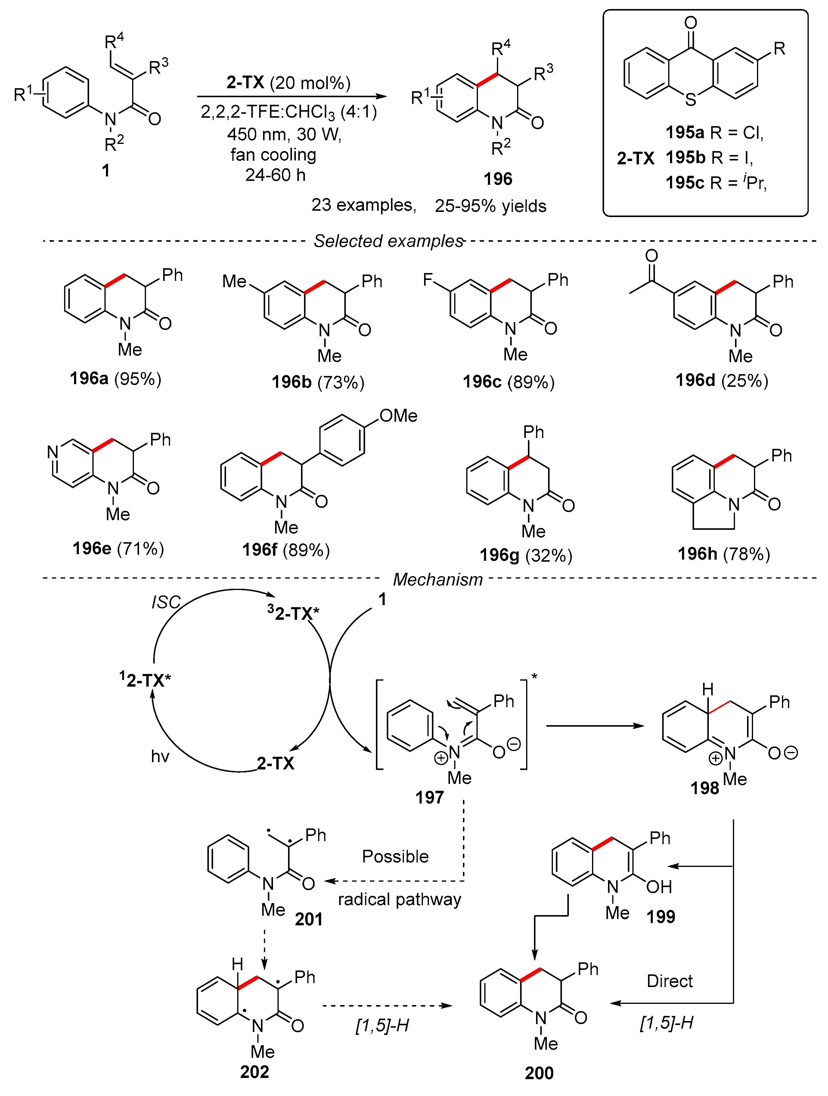 Catalysts 13 01105 g047