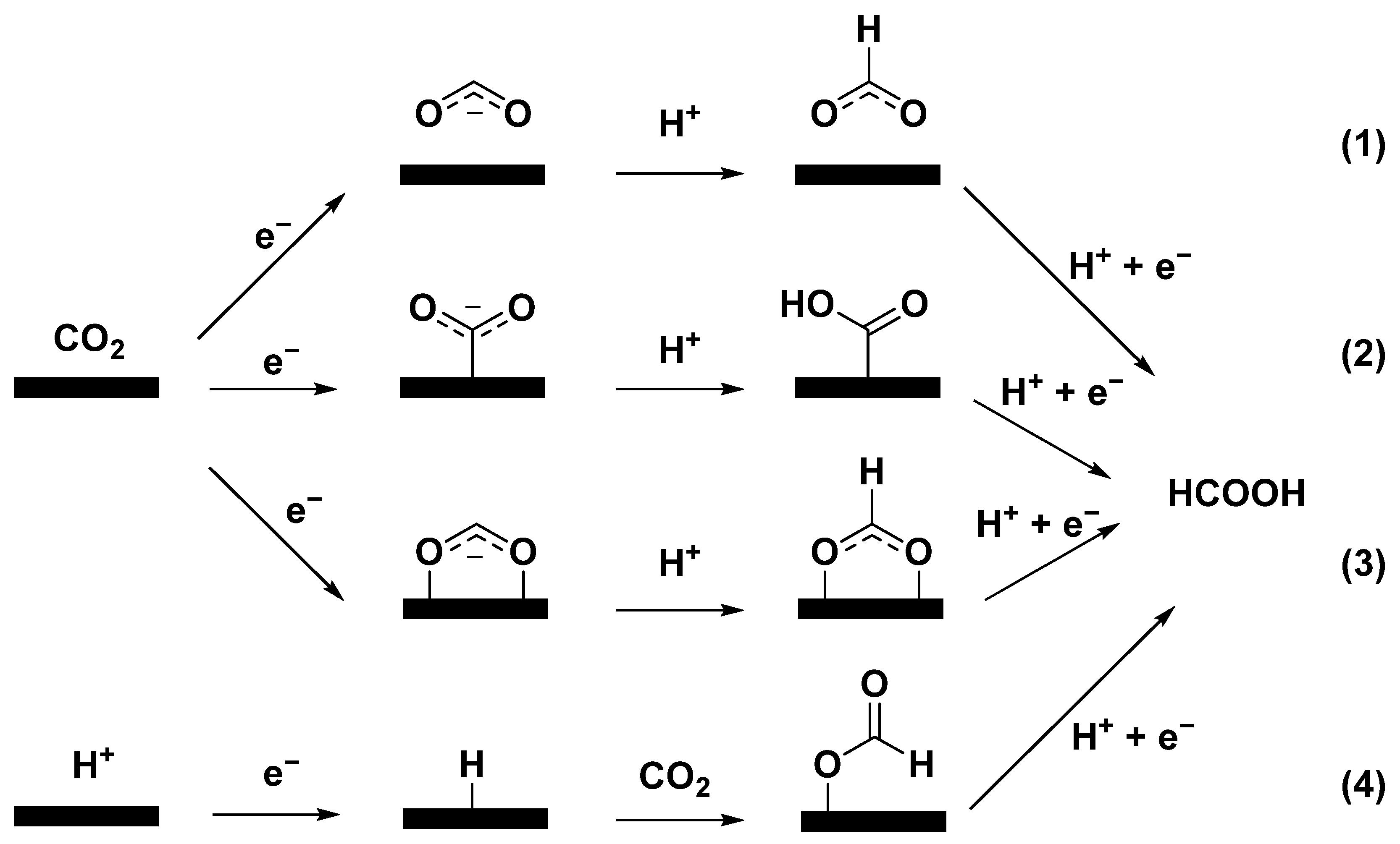 Catalysts 13 01109 g001