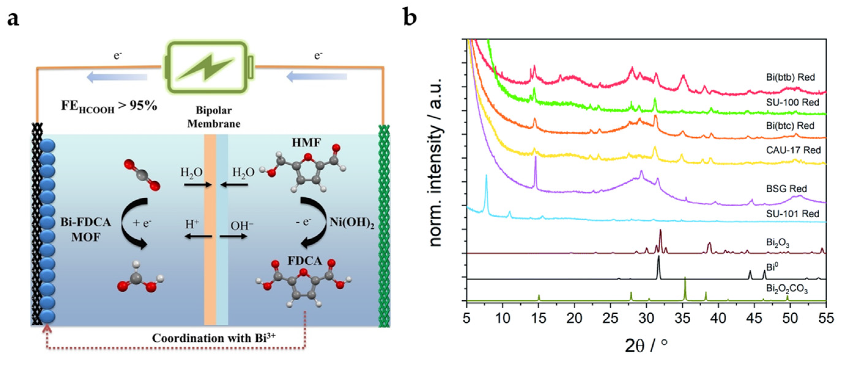 Catalysts 13 01109 g006