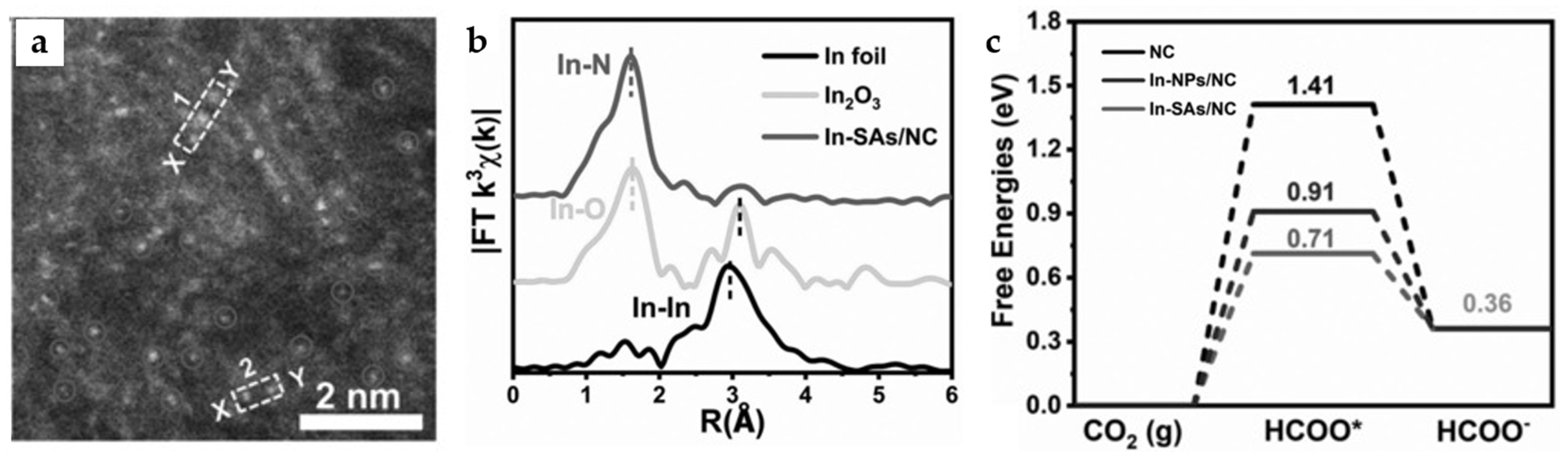 Catalysts 13 01109 g015
