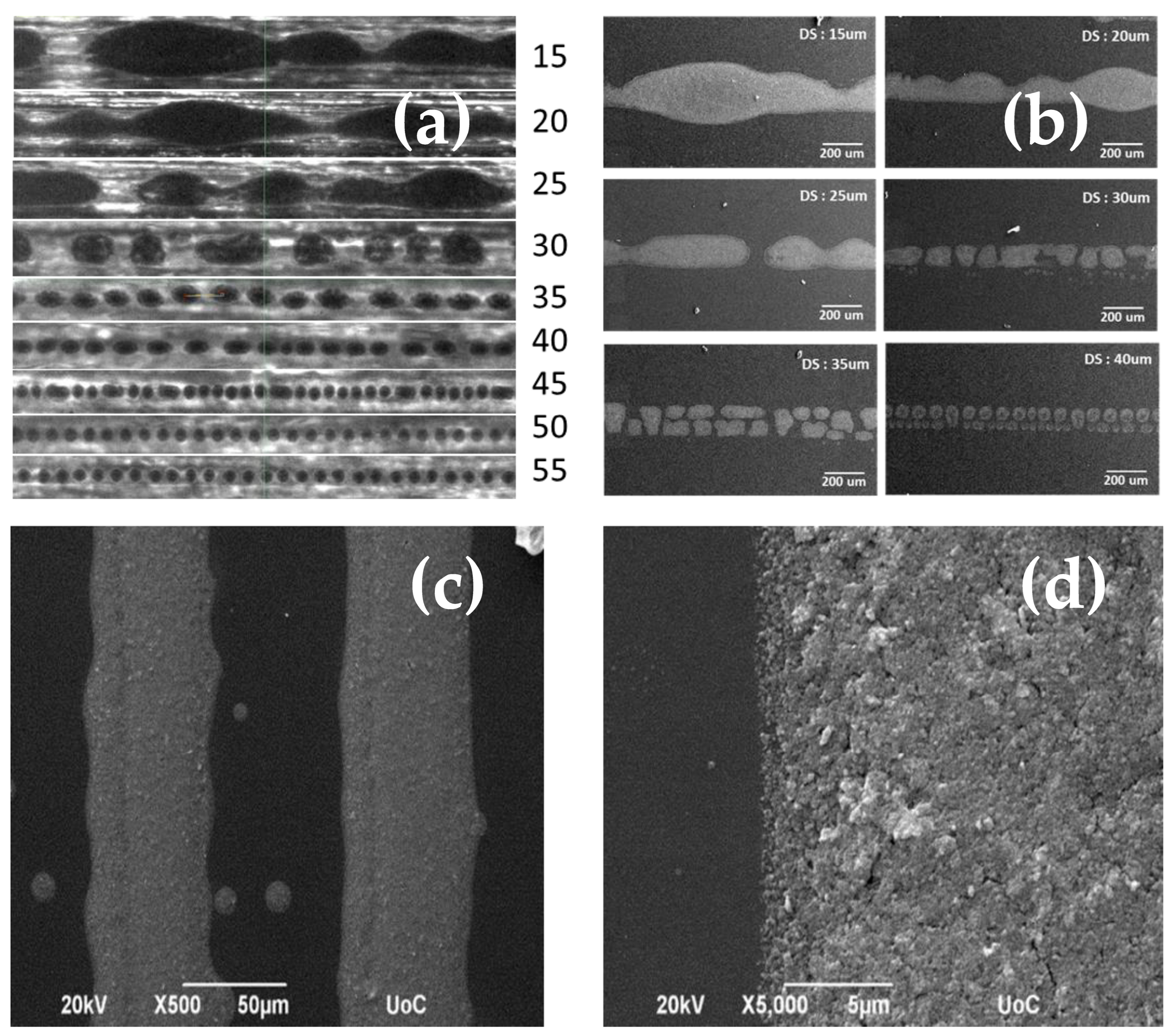 Catalysts 13 01110 g010 Catalysts 13 01110 g010