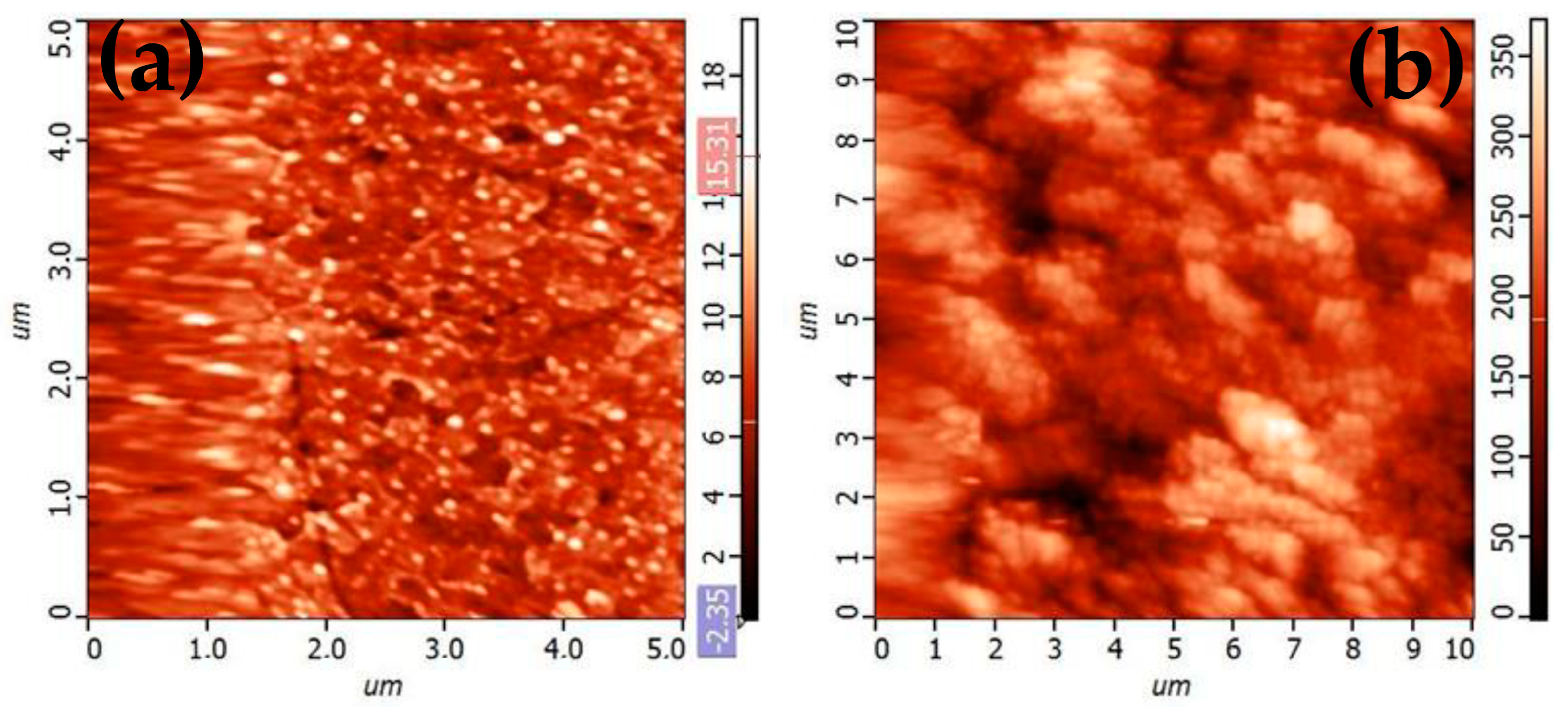 Catalysts 13 01110 g013 Catalysts 13 01110 g013