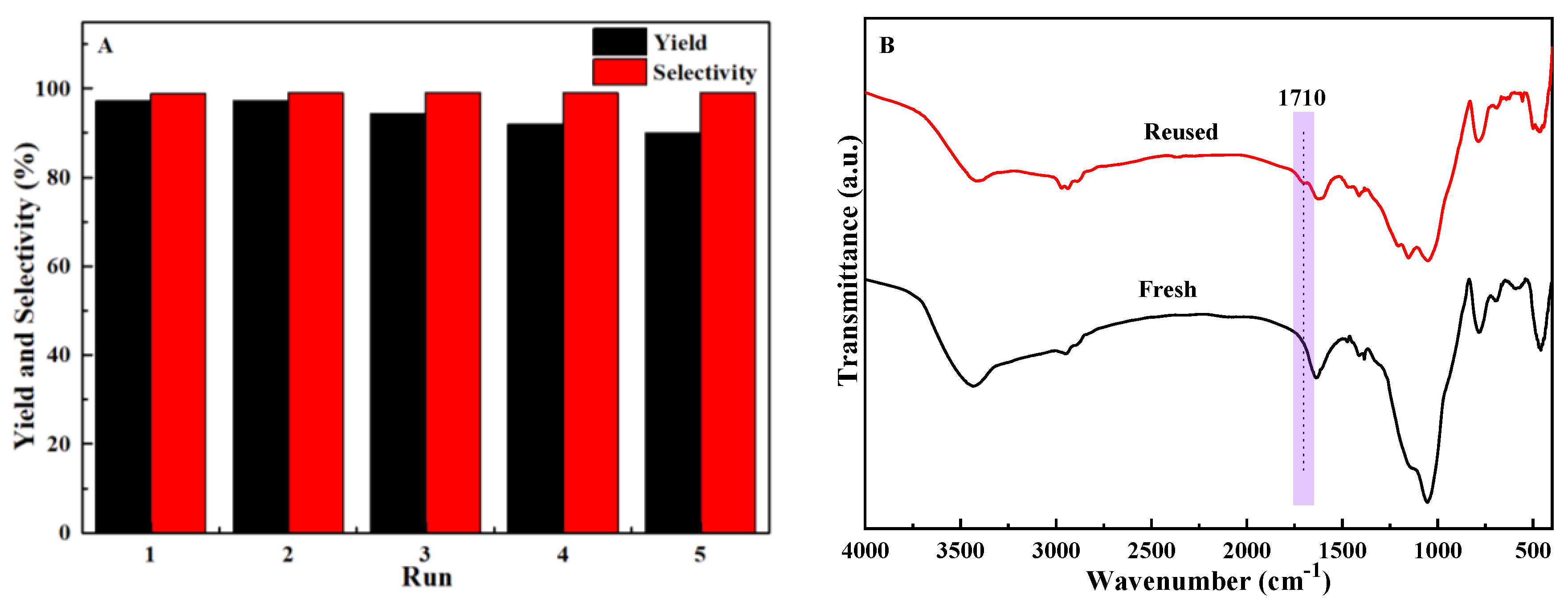 Catalysts 13 01116 g008