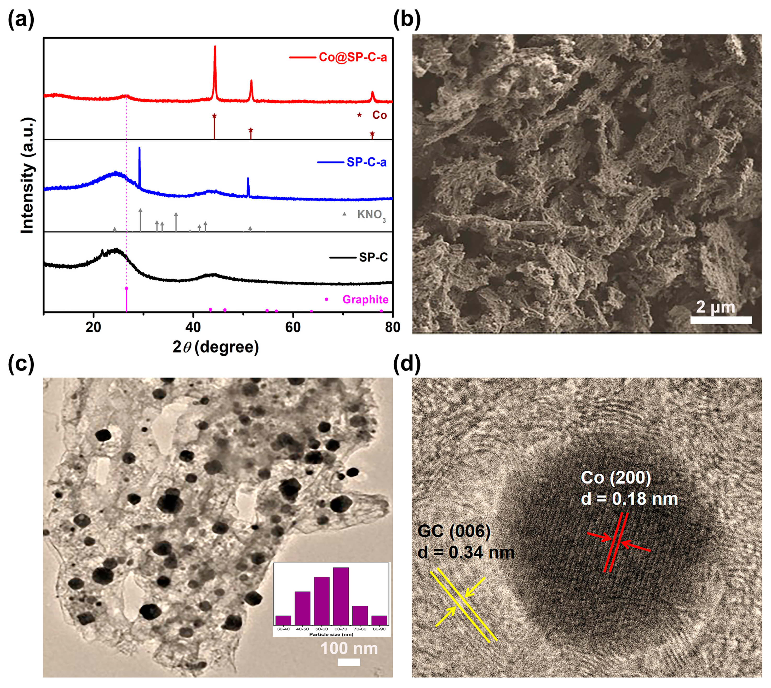 Catalysts 13 01118 g002