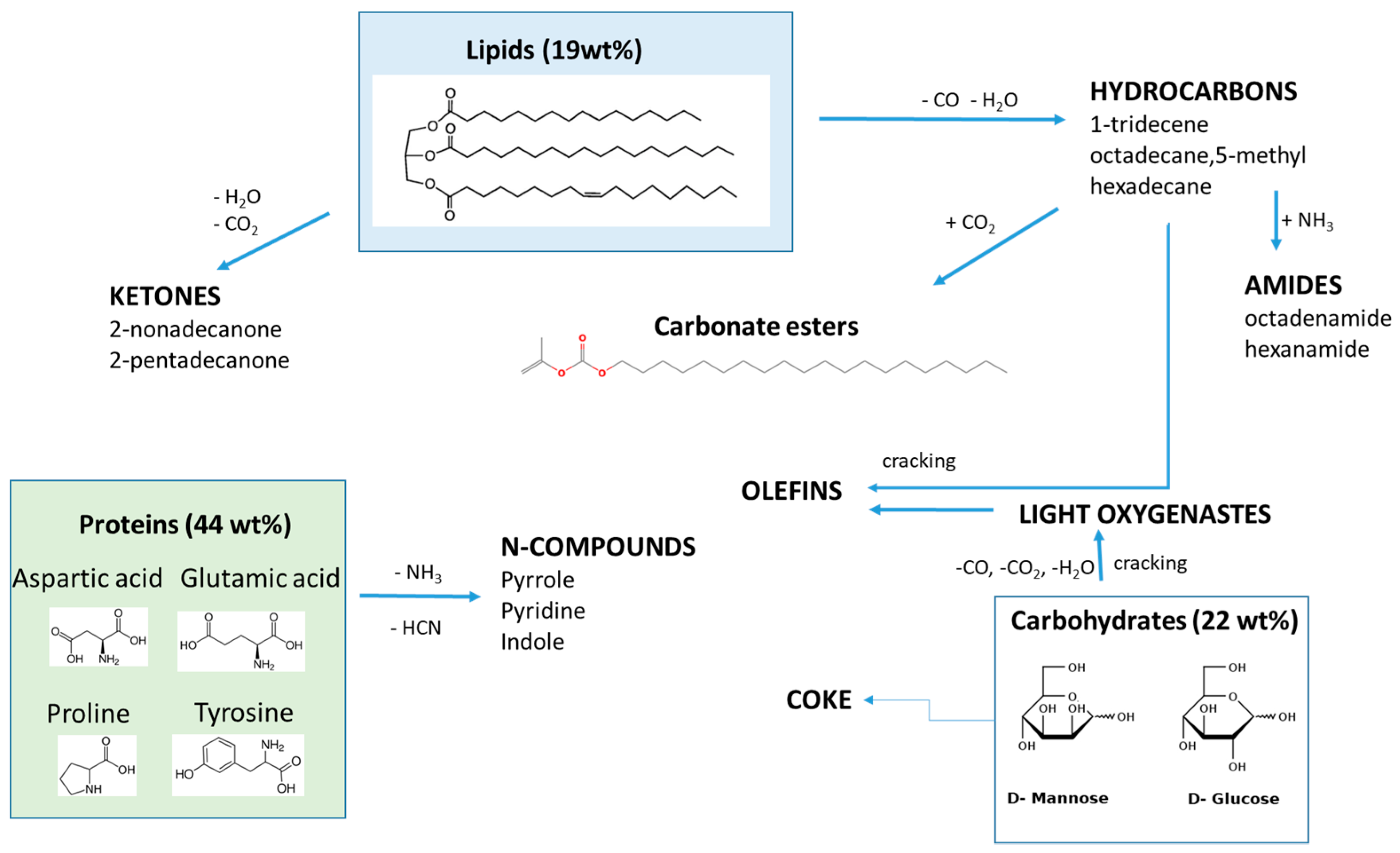 Catalysts 13 01122 g008