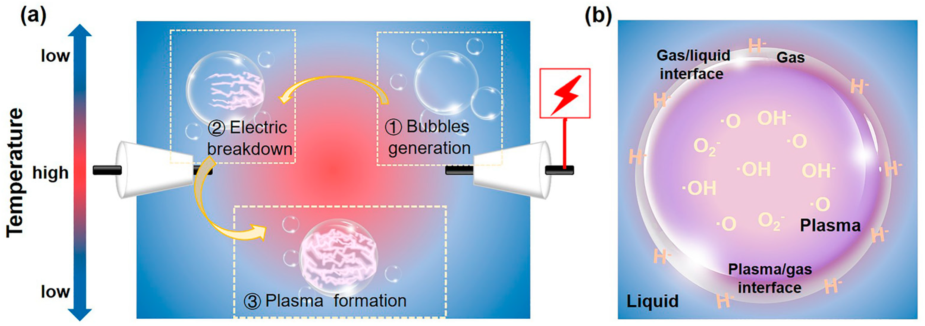 Catalysts 13 01124 g002
