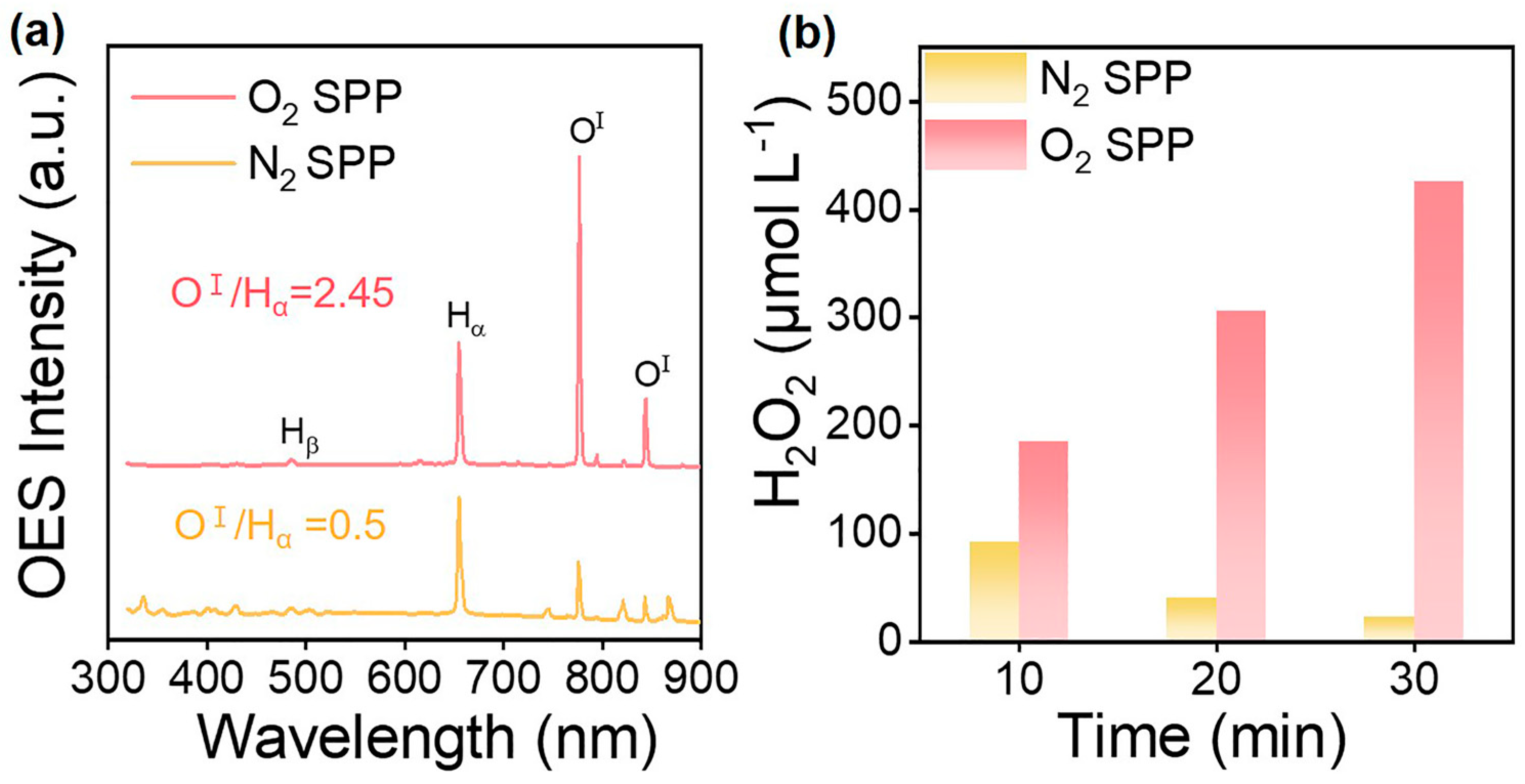 Catalysts 13 01124 g003