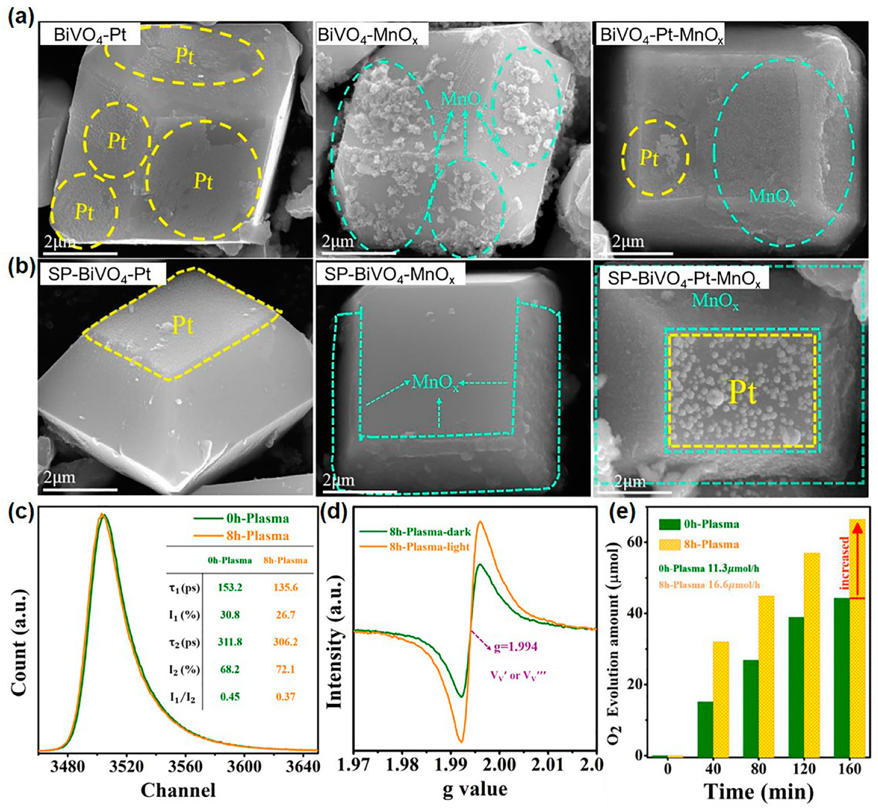 Catalysts 13 01124 g006
