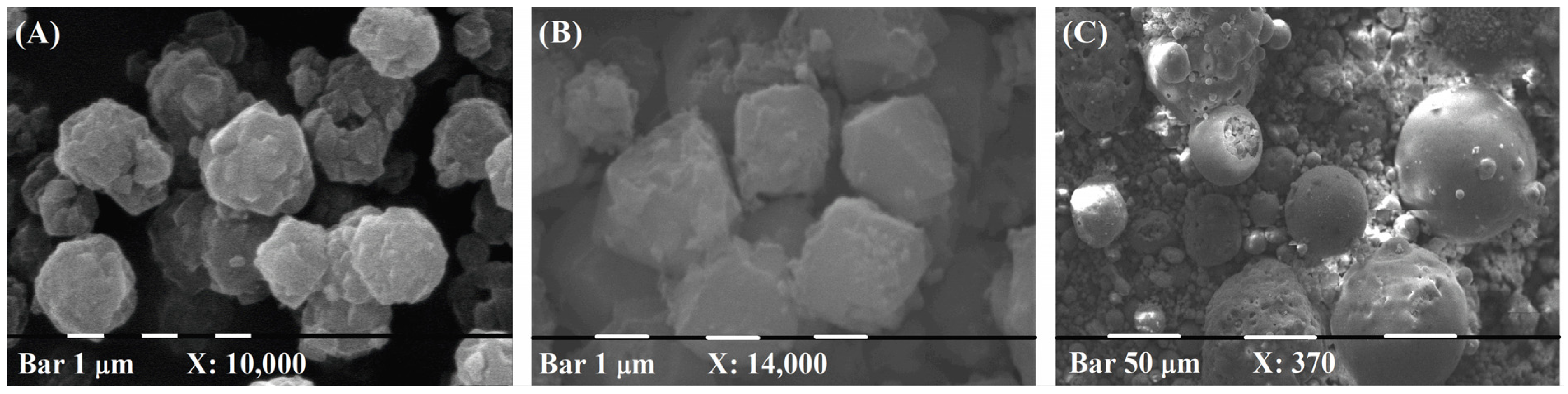 Catalysts 13 01128 g002 Catalysts 13 01128 g002