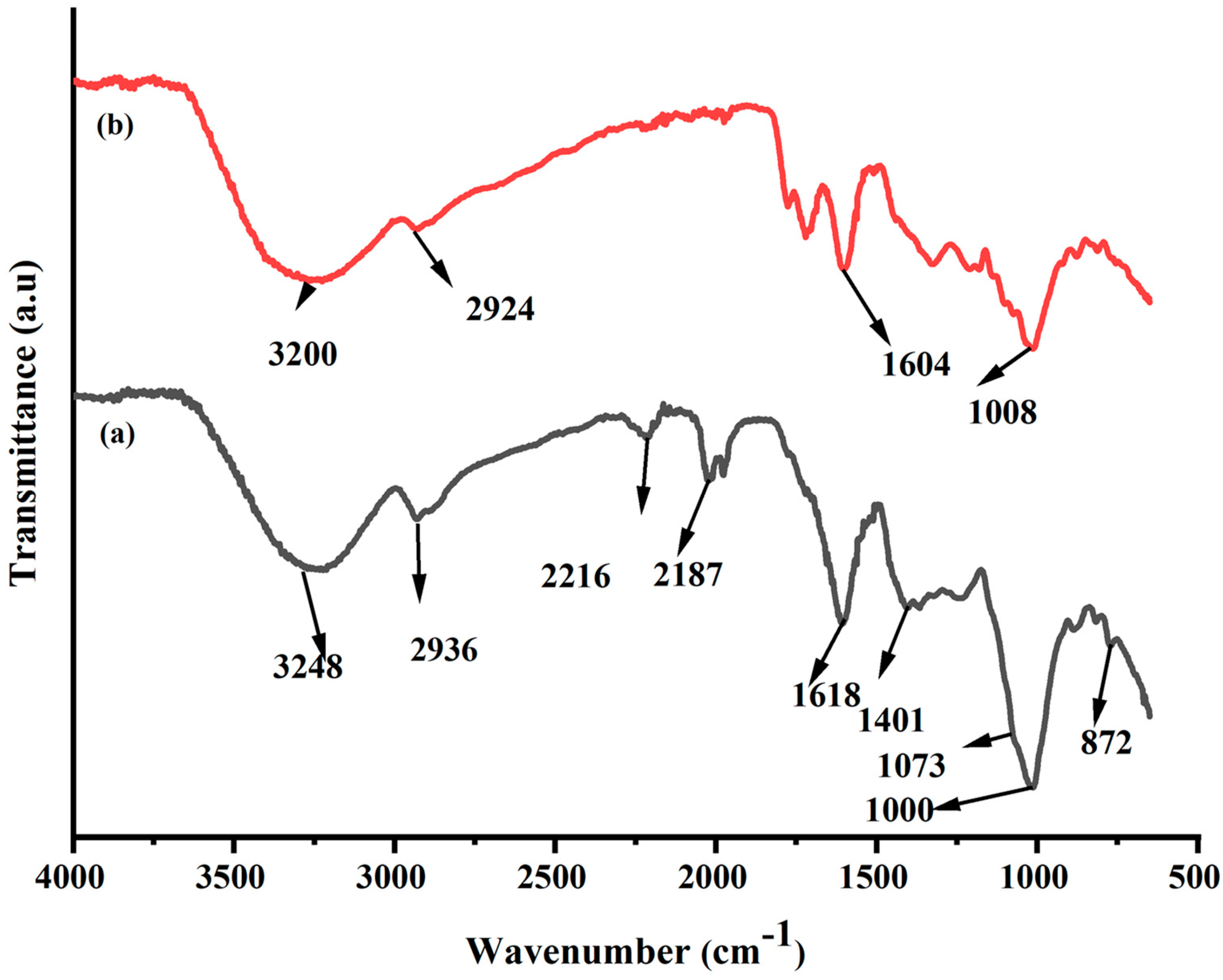 Catalysts 13 01135 g002