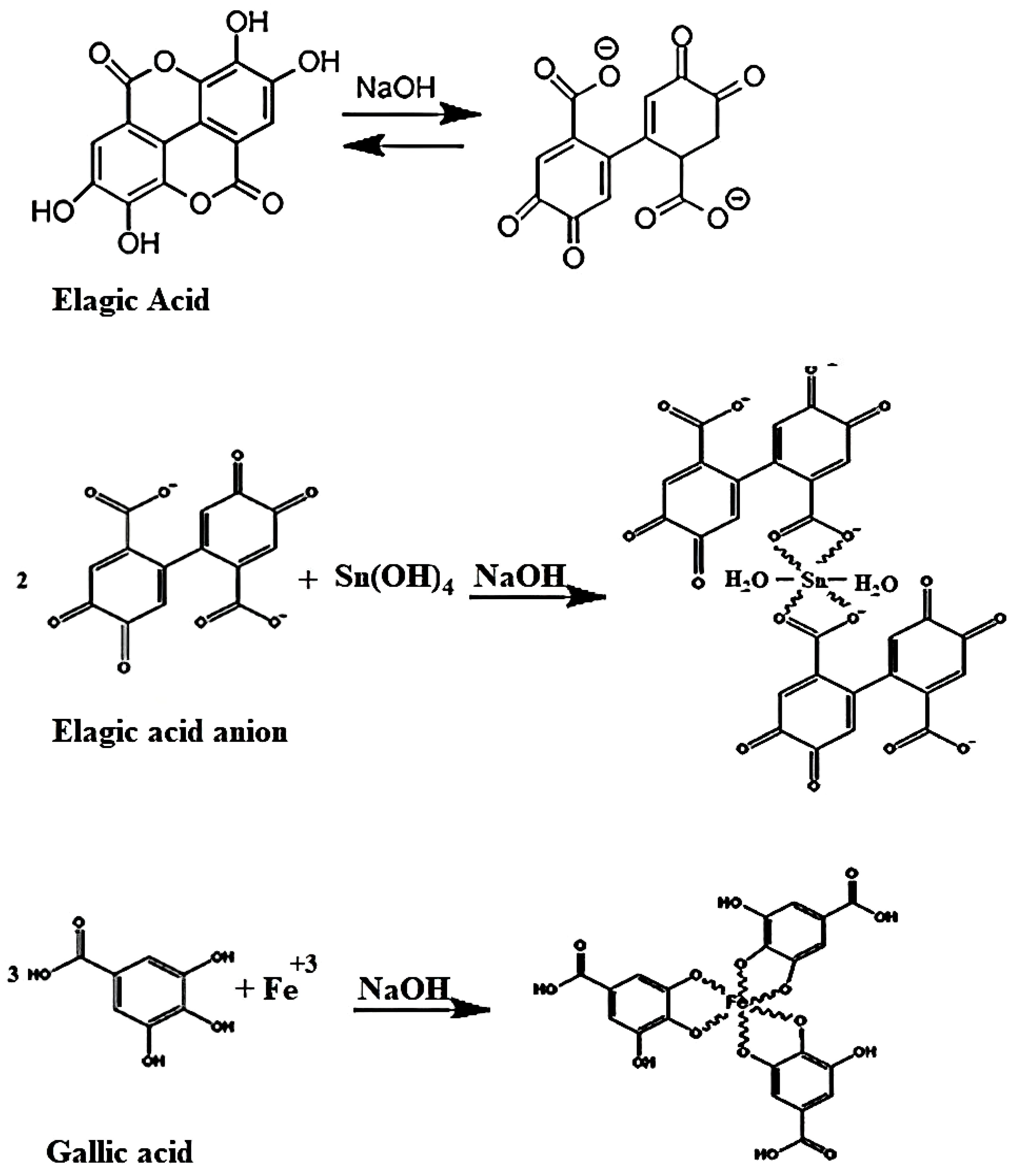 Catalysts 13 01135 g014