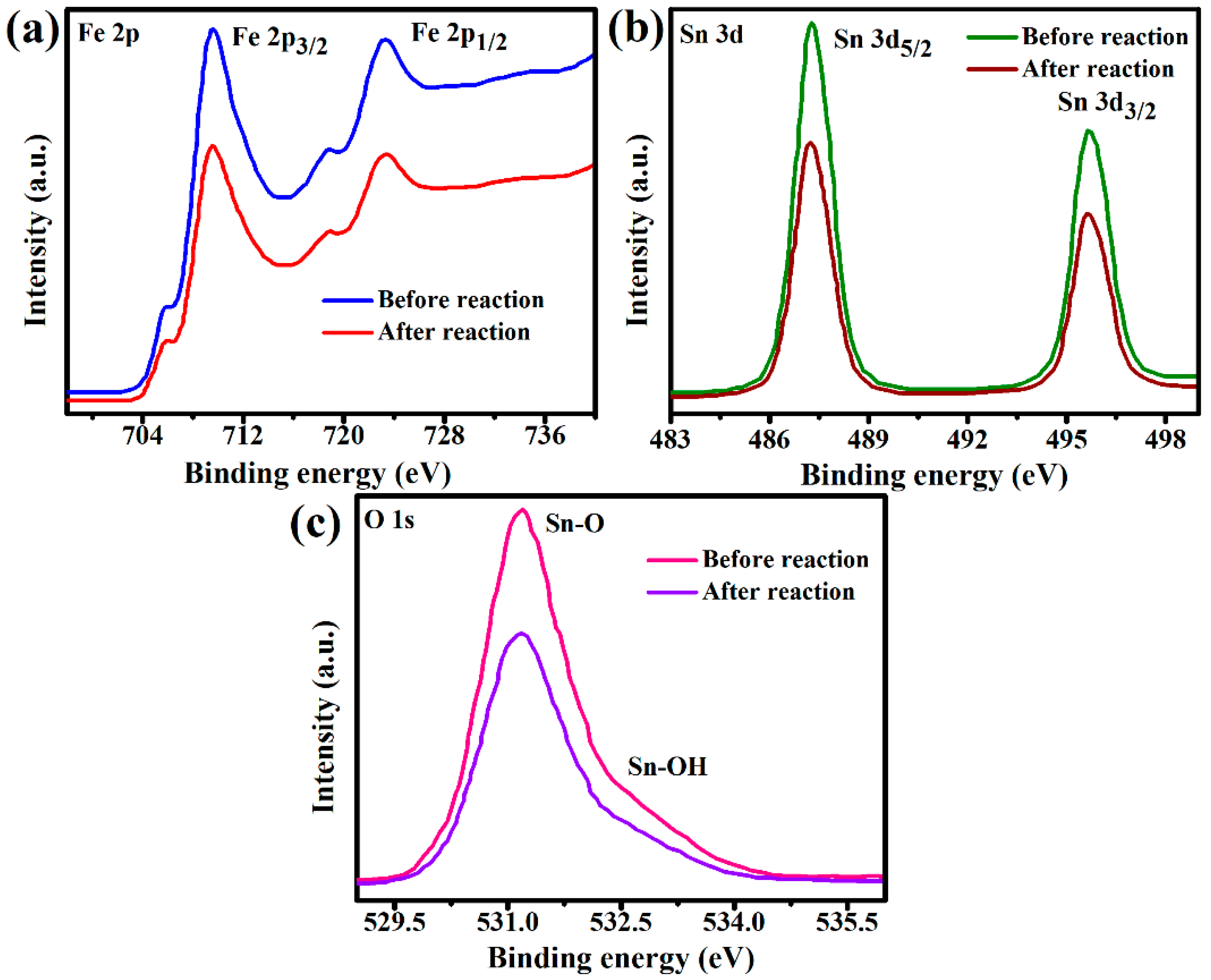 Catalysts 13 01135 g015