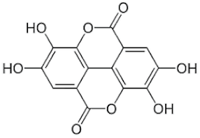 Catalysts 13 01135 i003