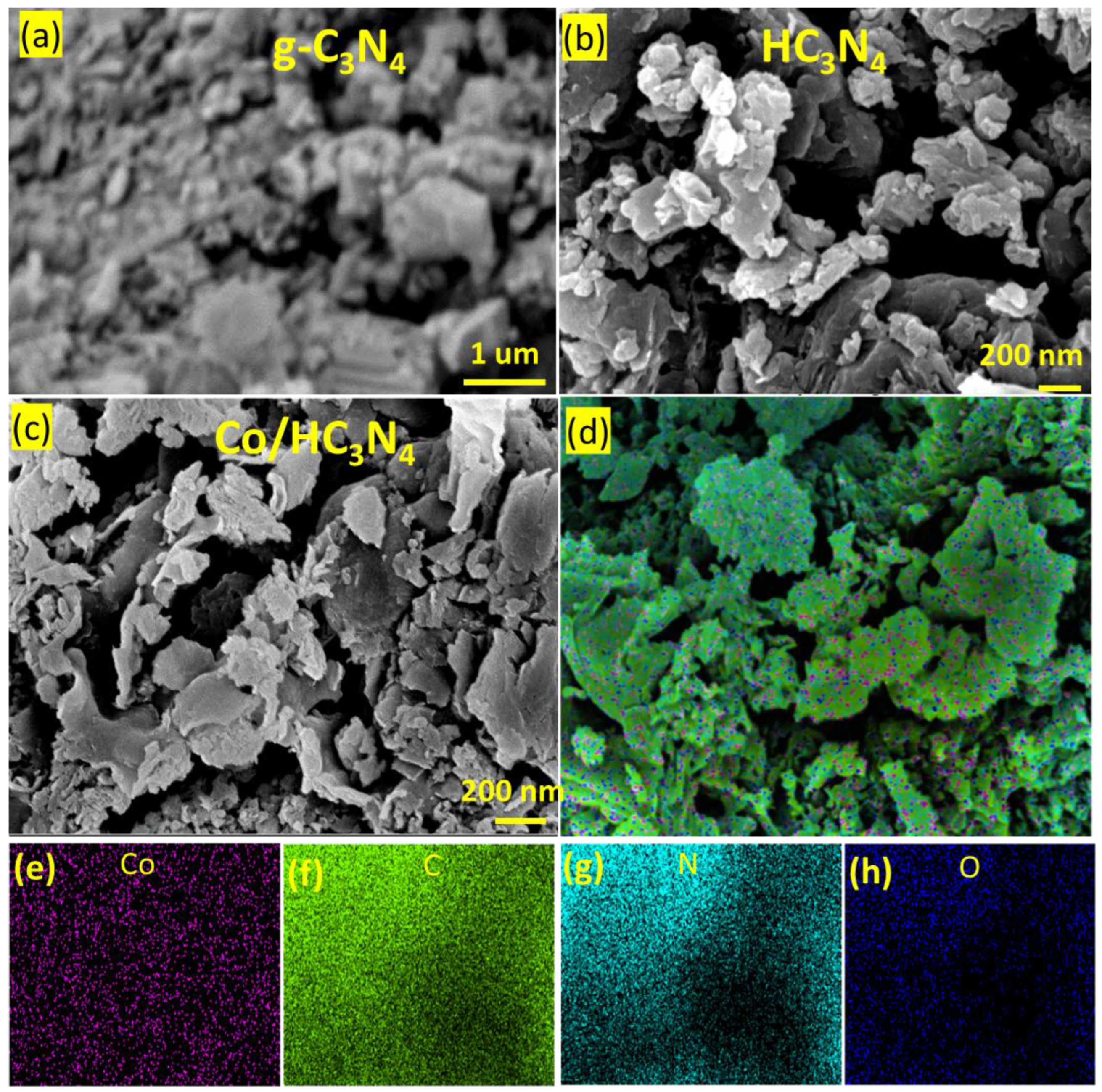Catalysts 13 01140 g002