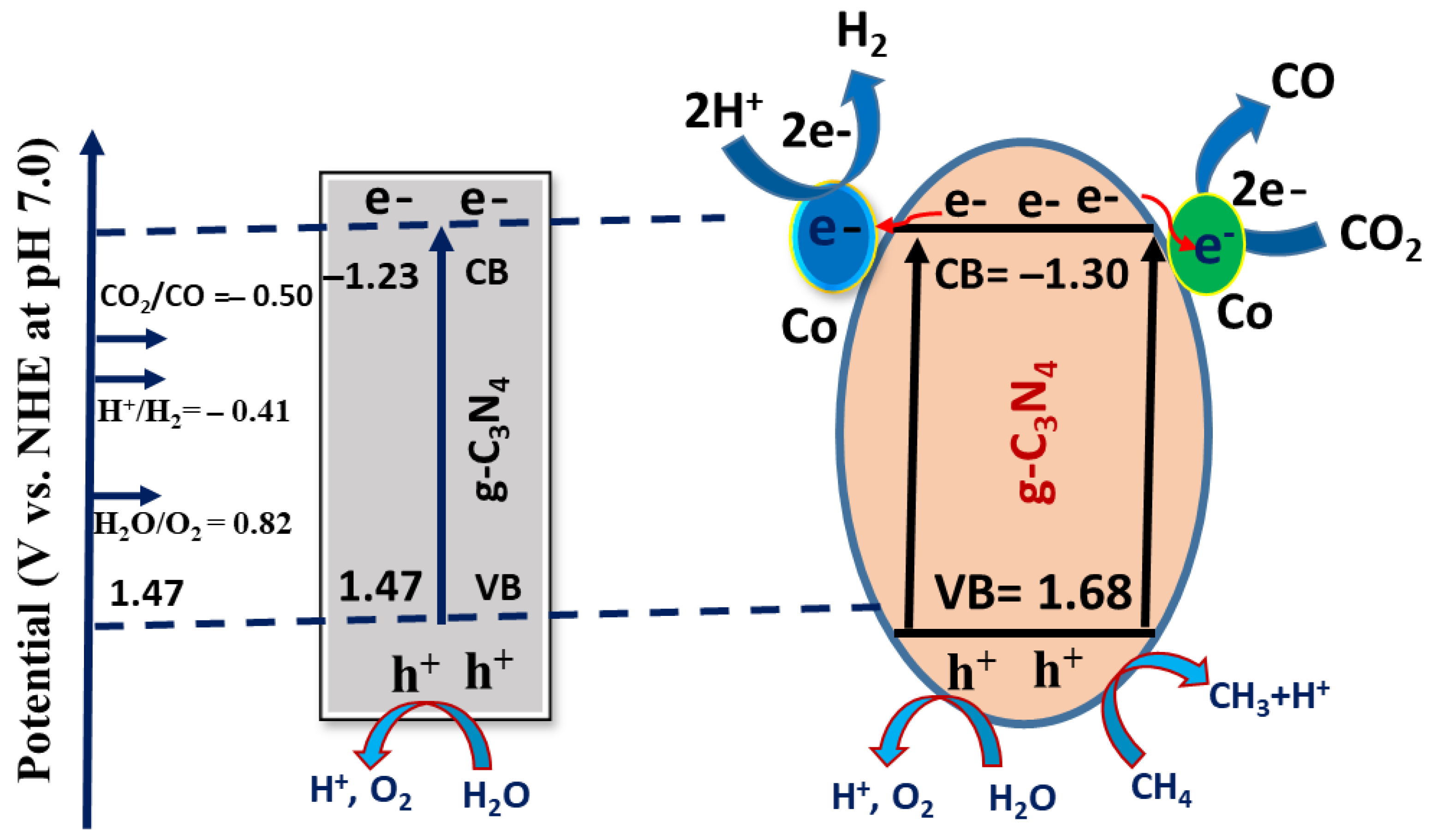 Catalysts 13 01140 g008