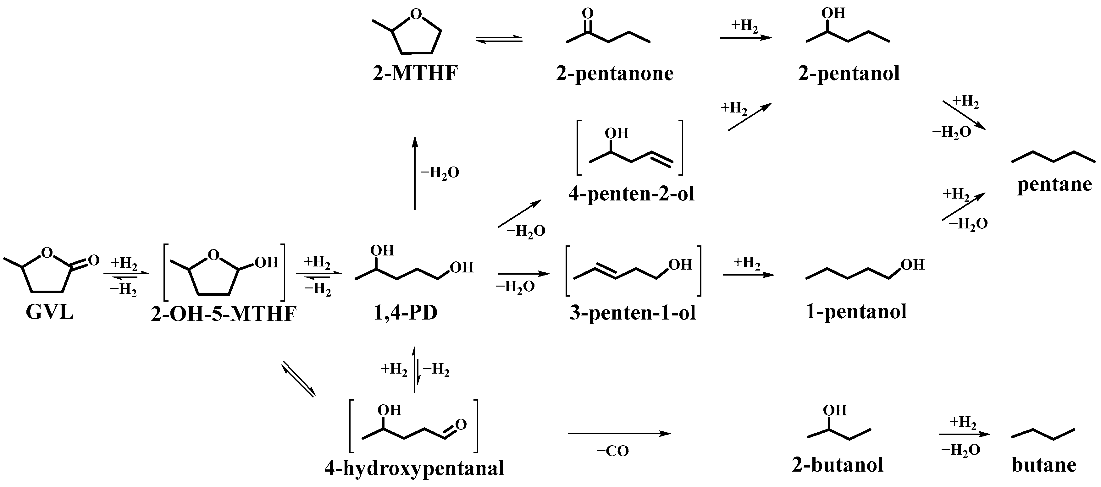 Catalysts 13 01144 sch003