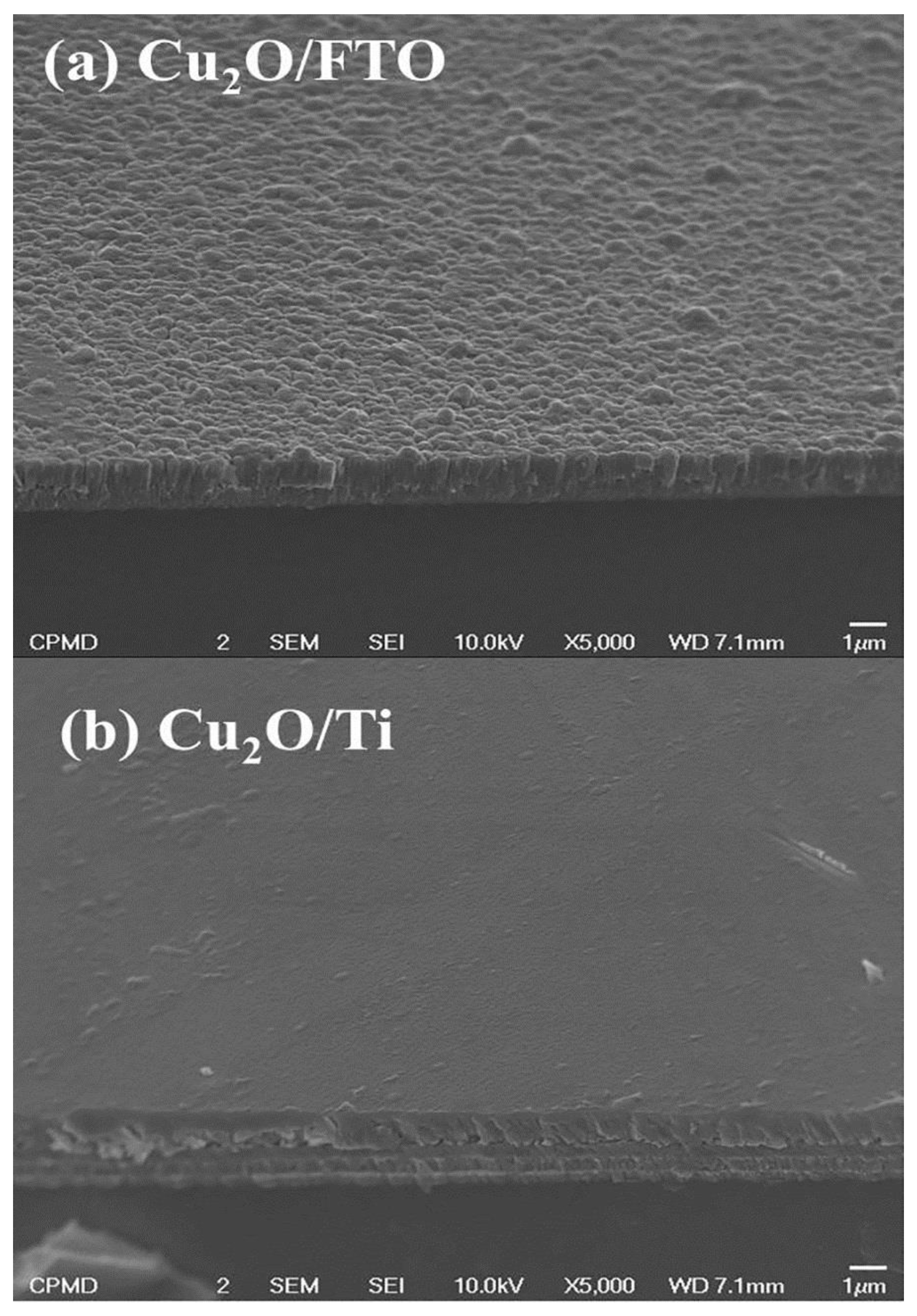 Catalysts 13 01145 g004