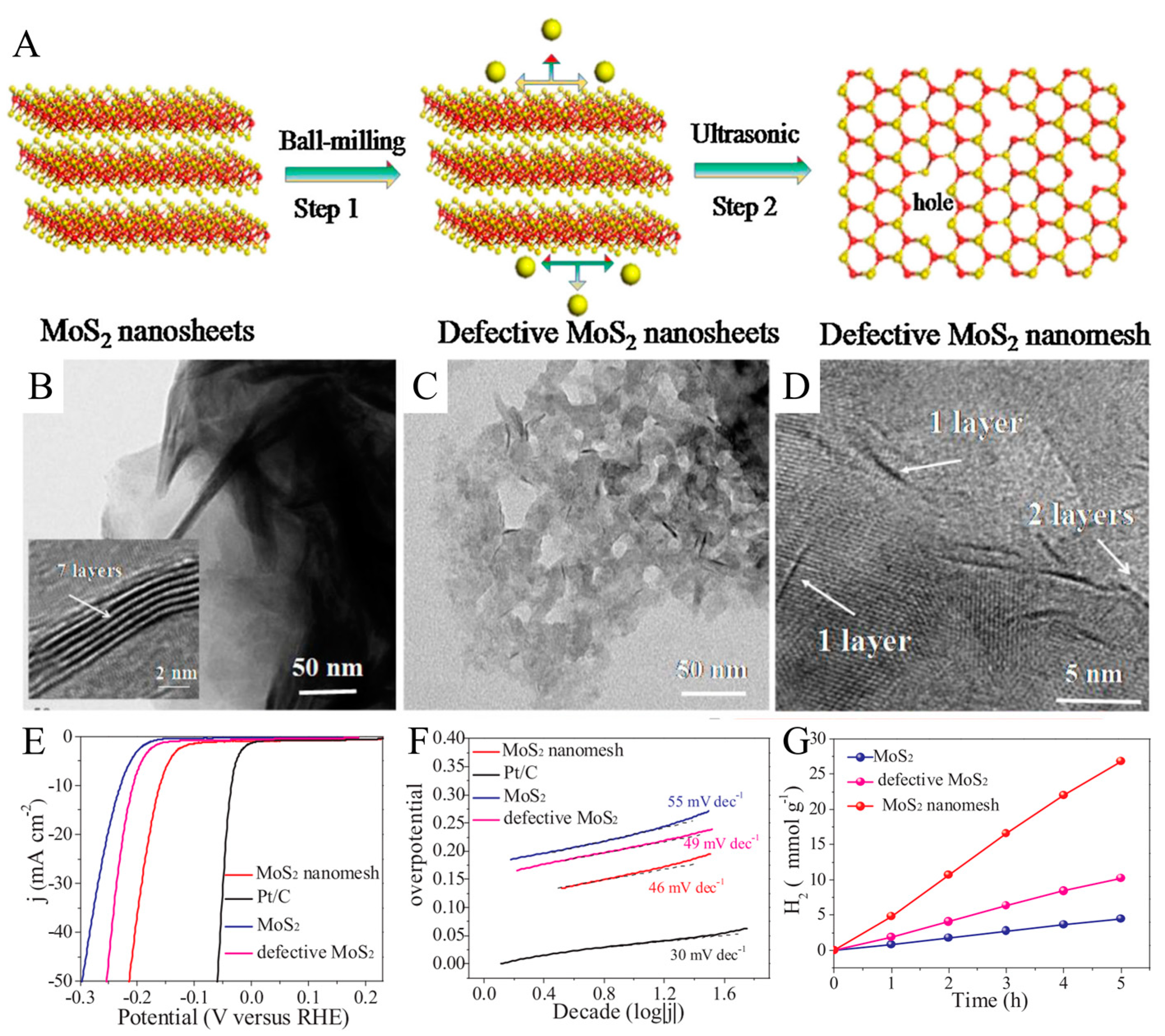 Catalysts 13 01148 g001