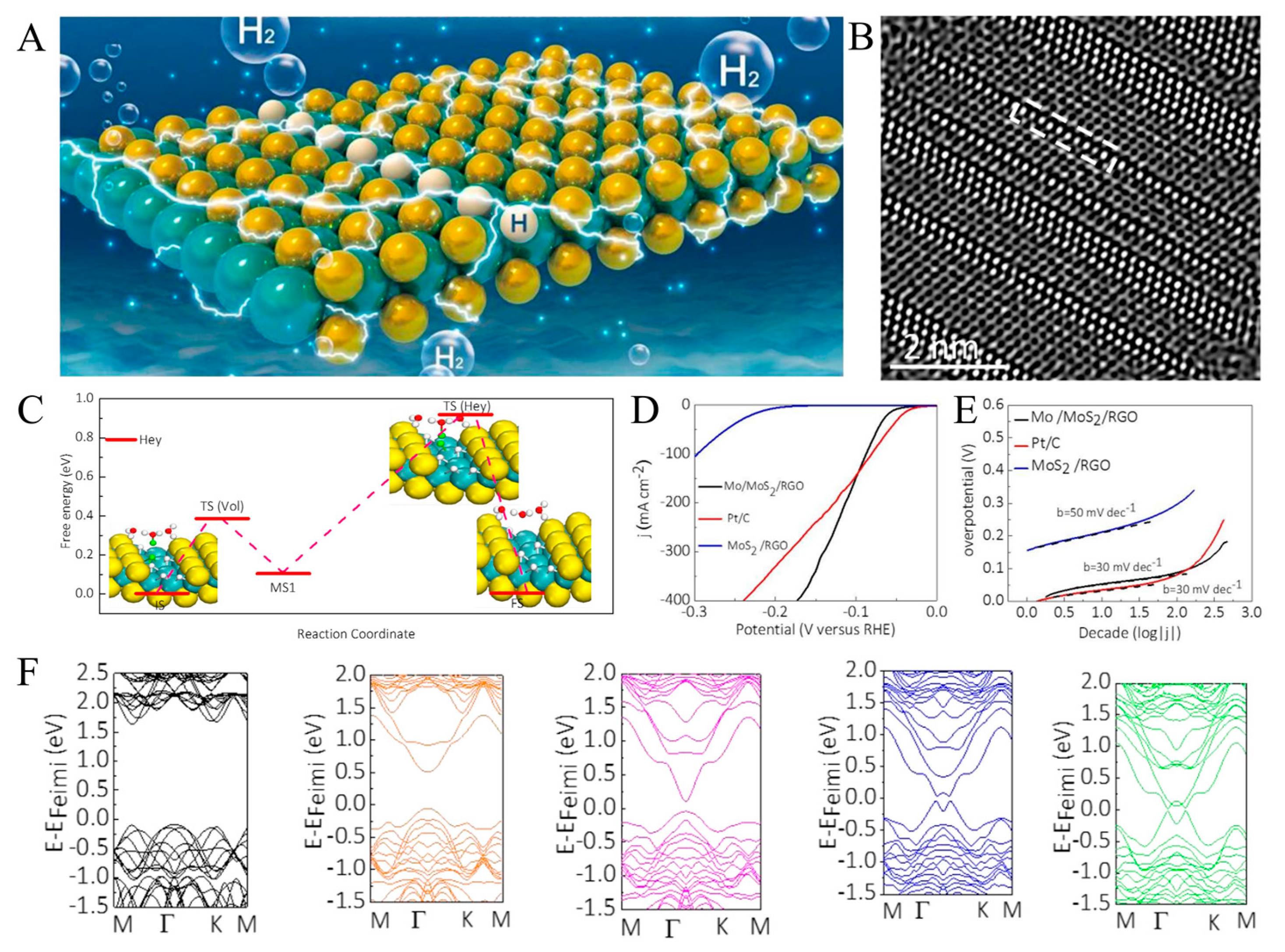 Catalysts 13 01148 g002
