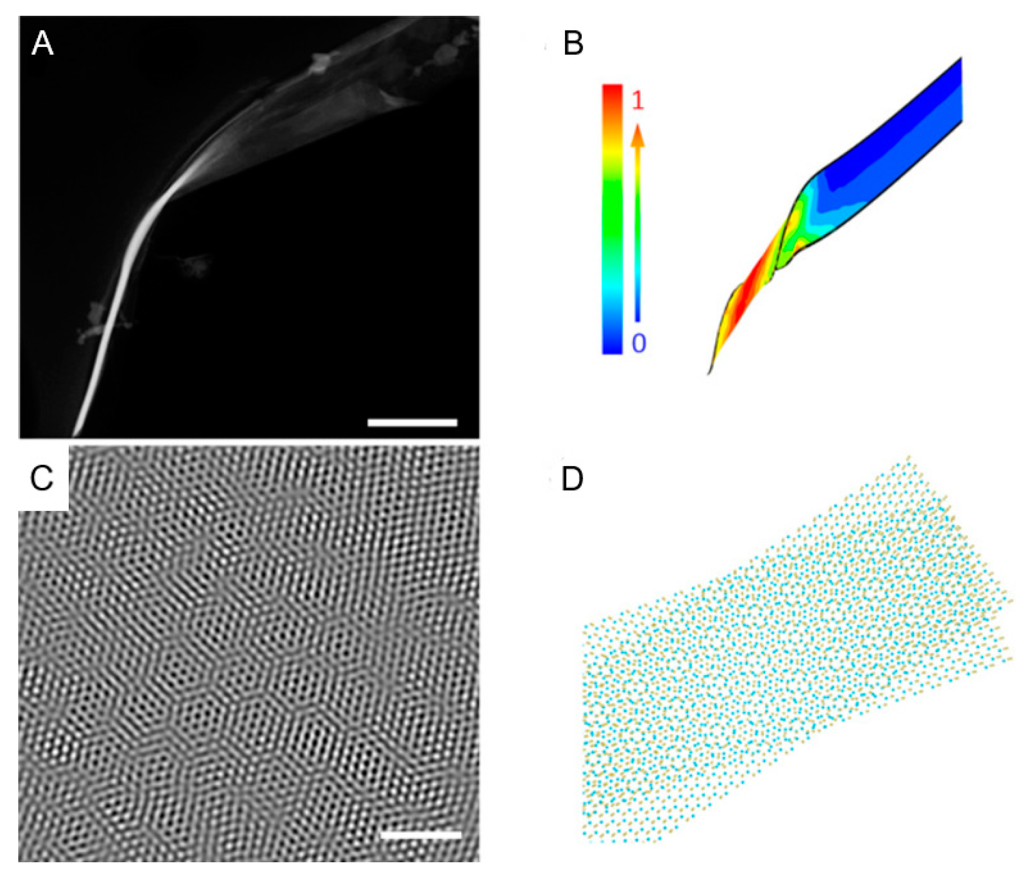 Catalysts 13 01148 g004