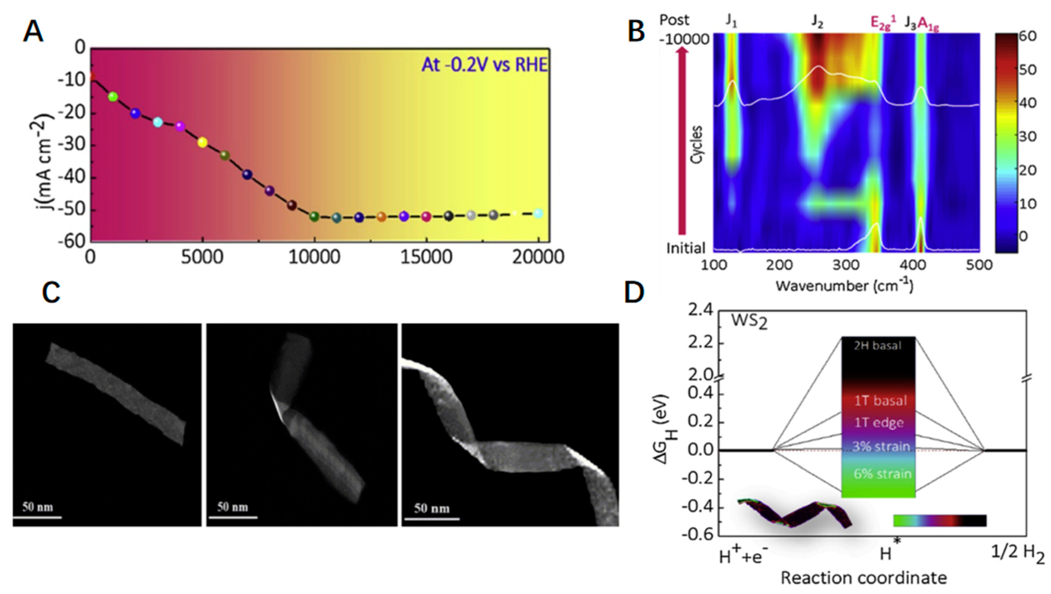 Catalysts 13 01148 g008