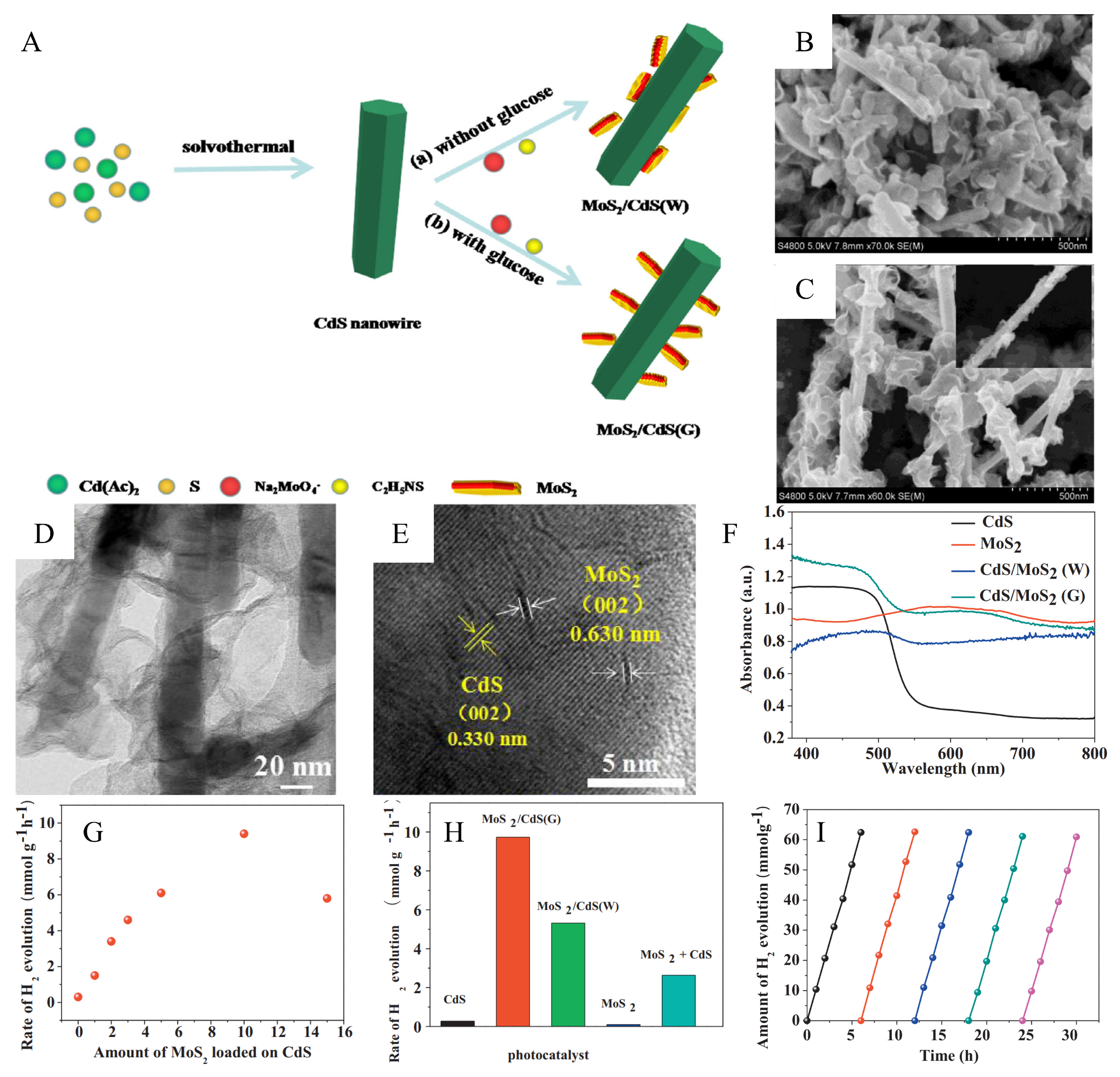 Catalysts 13 01148 g010