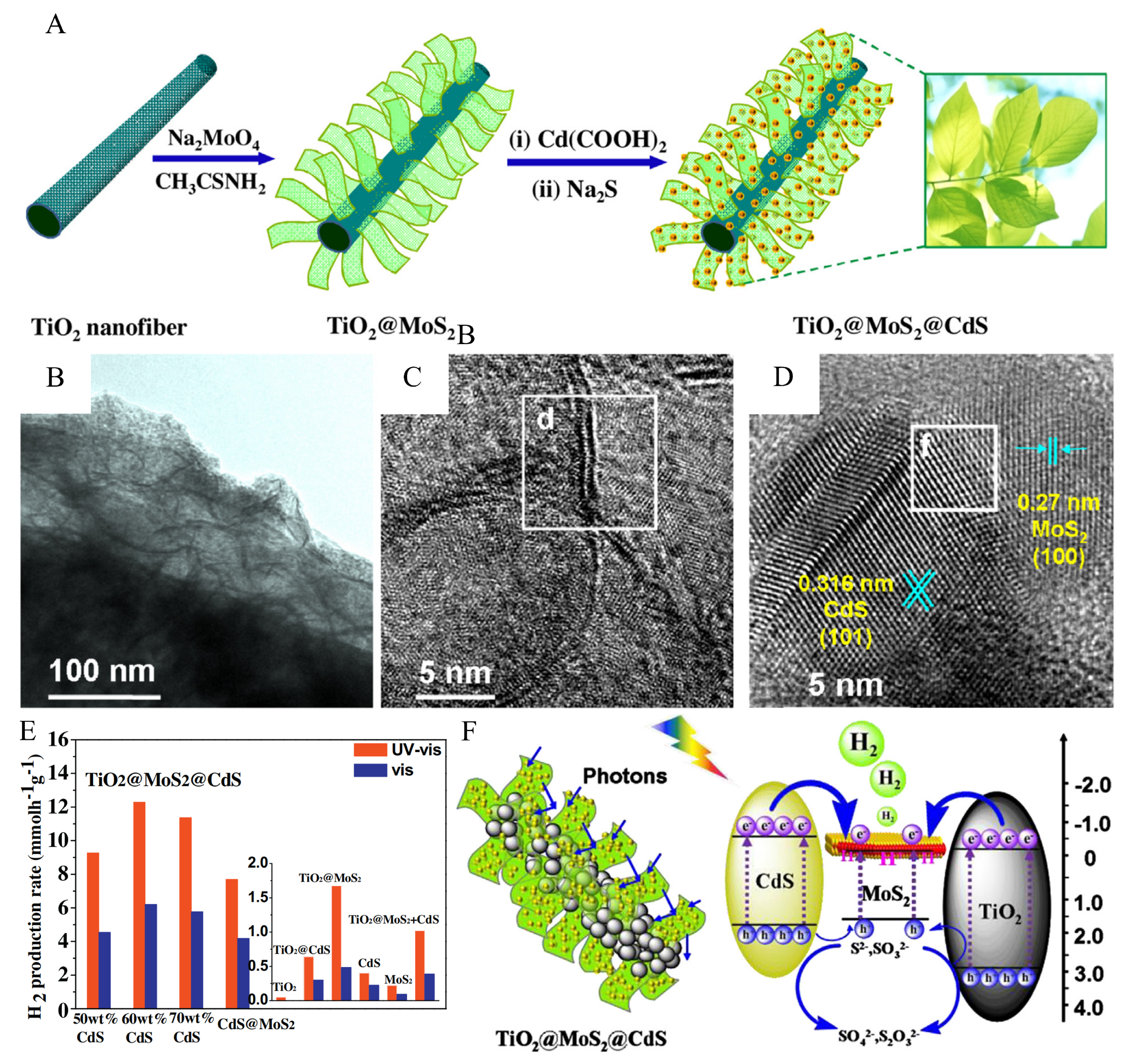 Catalysts 13 01148 g011