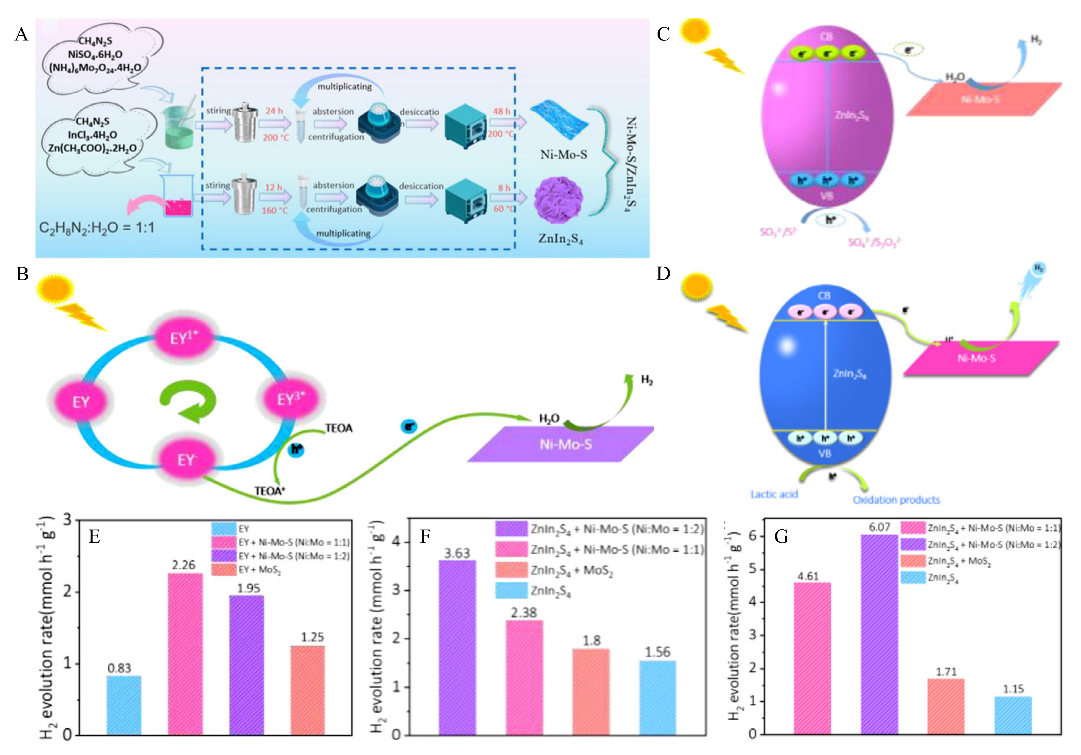 Catalysts 13 01148 g012