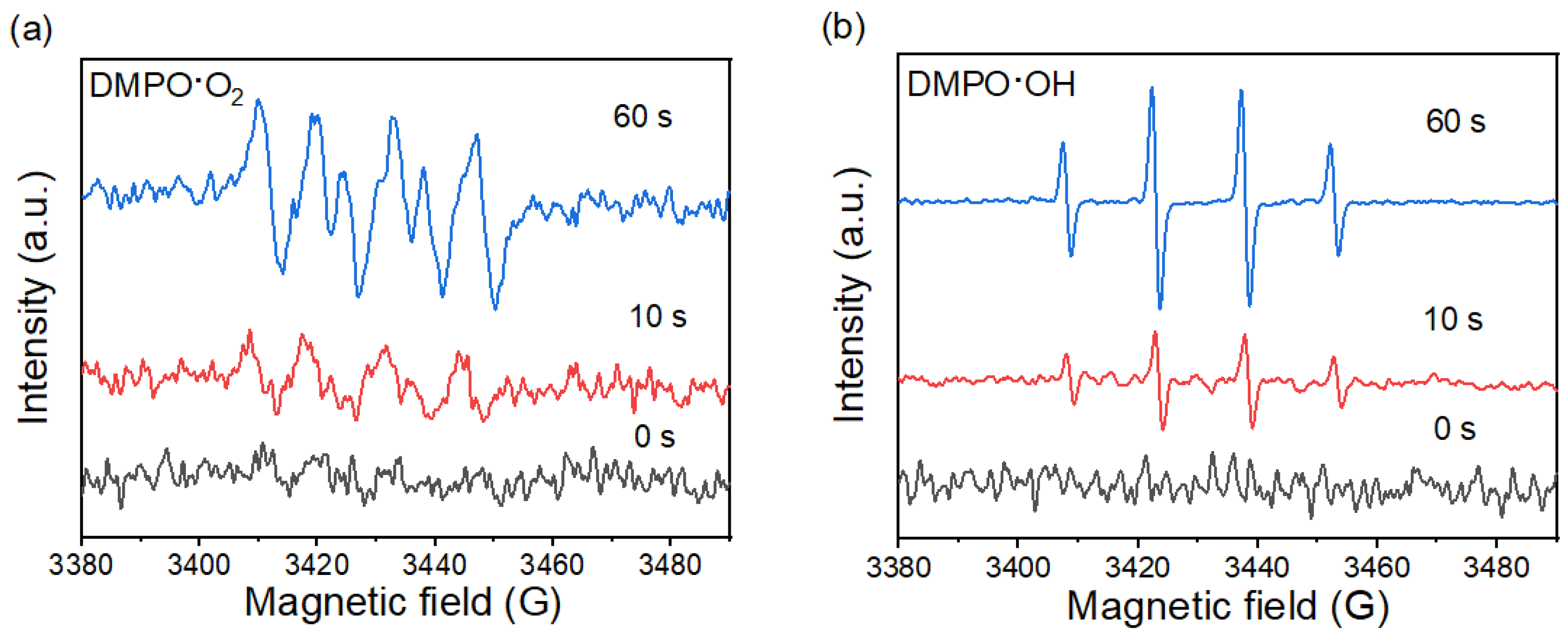 Catalysts 13 01152 g005 Catalysts 13 01152 g005