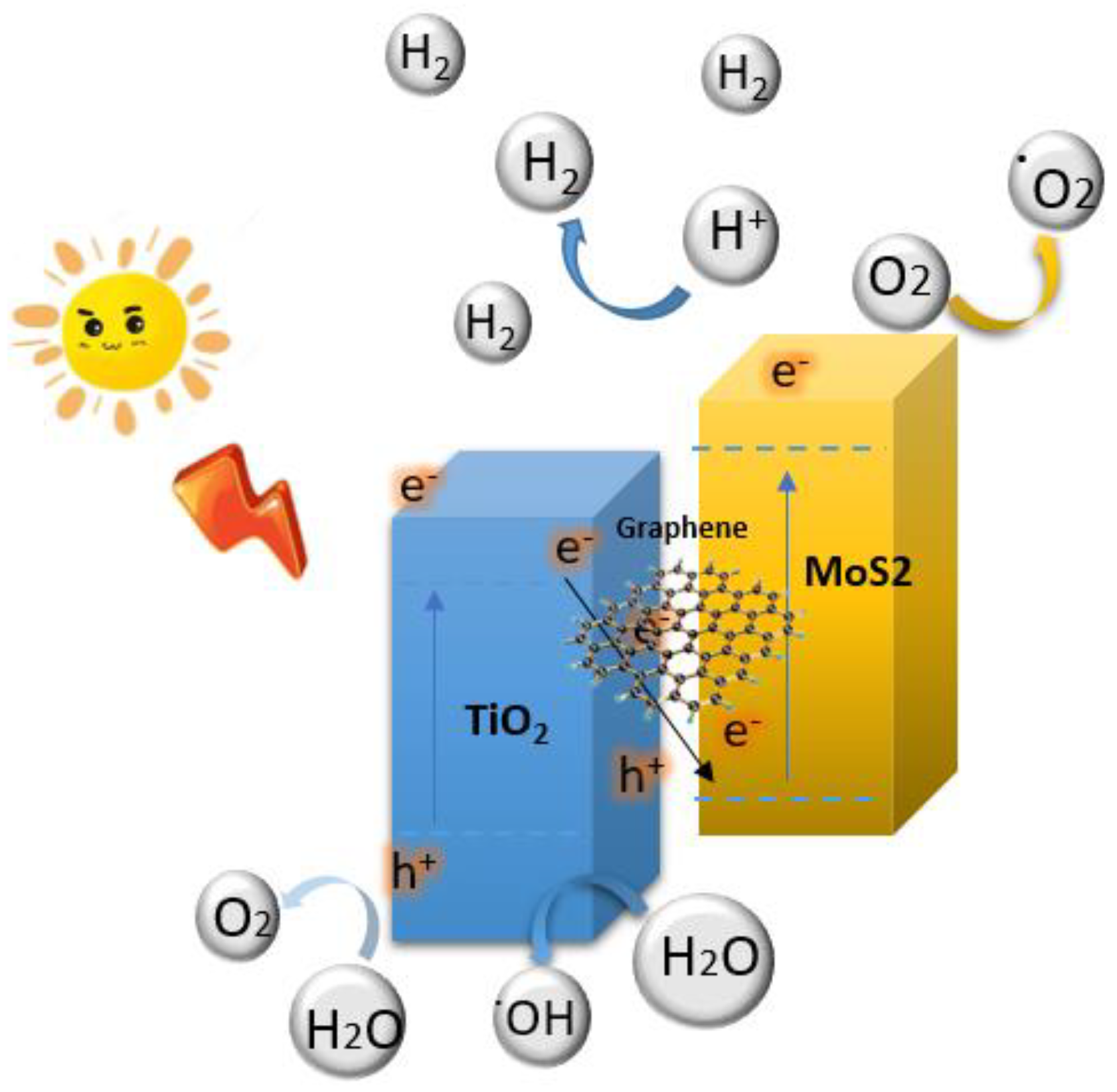 Catalysts 13 01152 g007 Catalysts 13 01152 g007