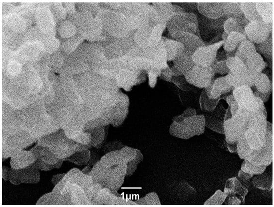 Catalysts 13 01153 g001