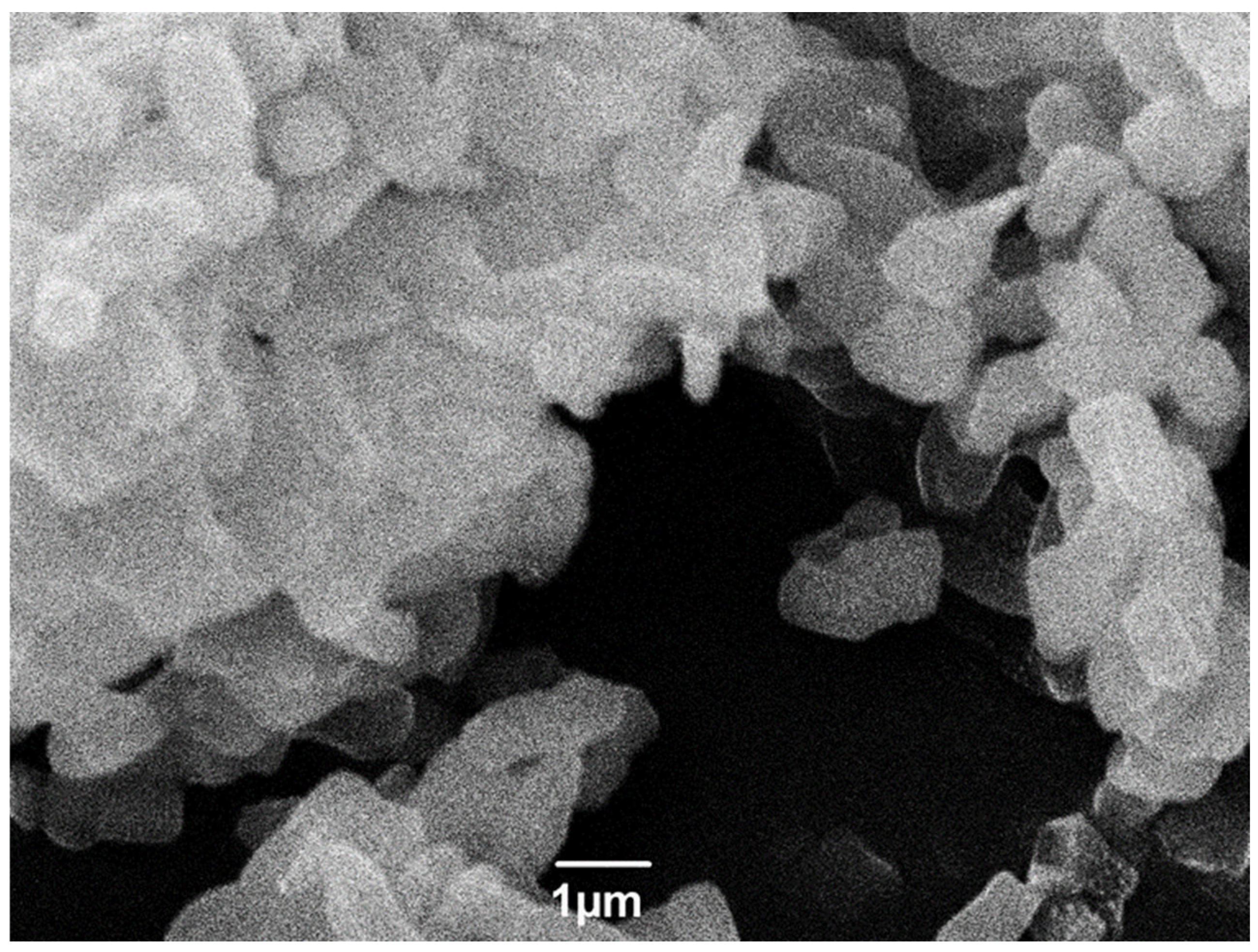 Catalysts 13 01153 g001