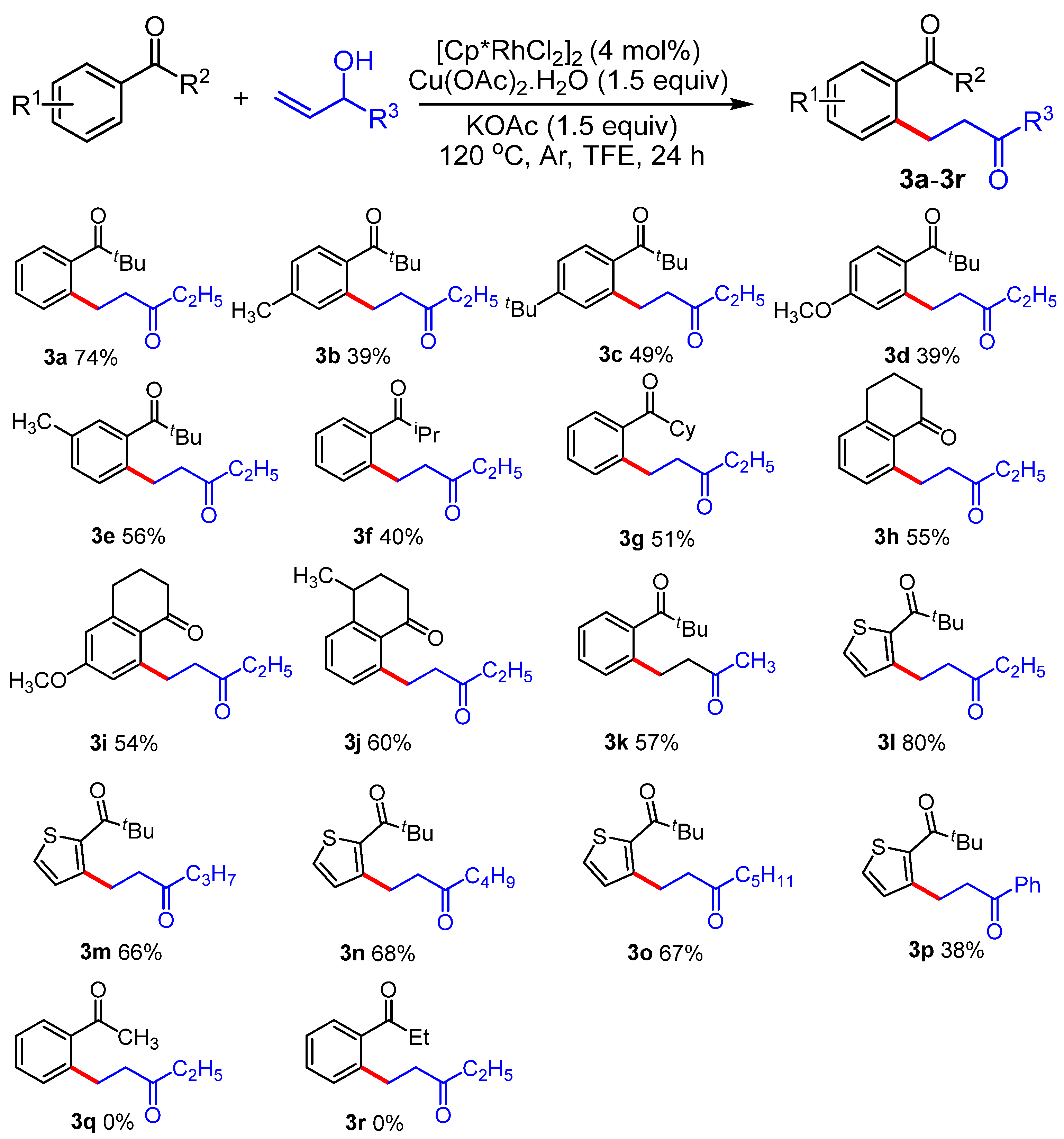 Catalysts 13 01157 g001