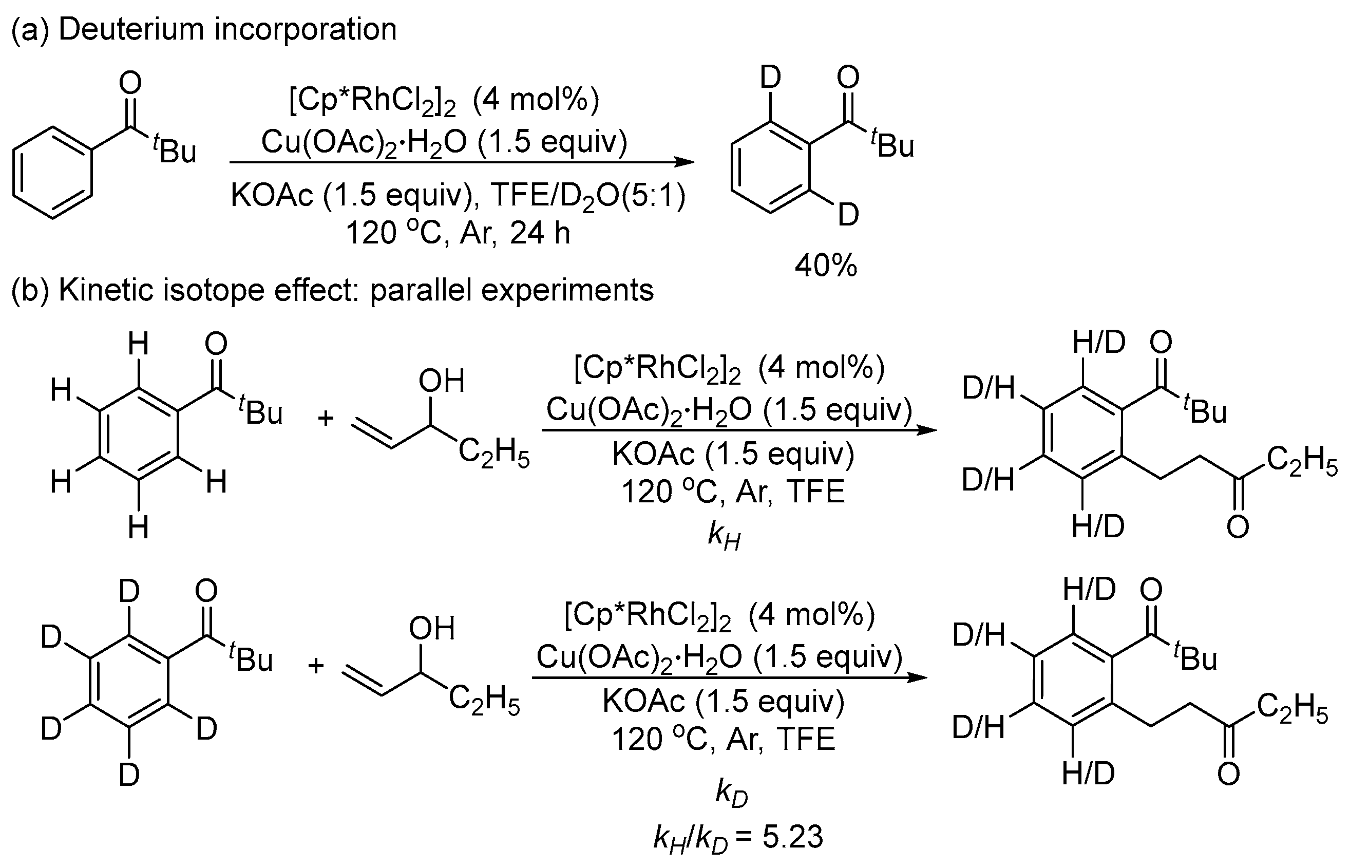 Catalysts 13 01157 sch003