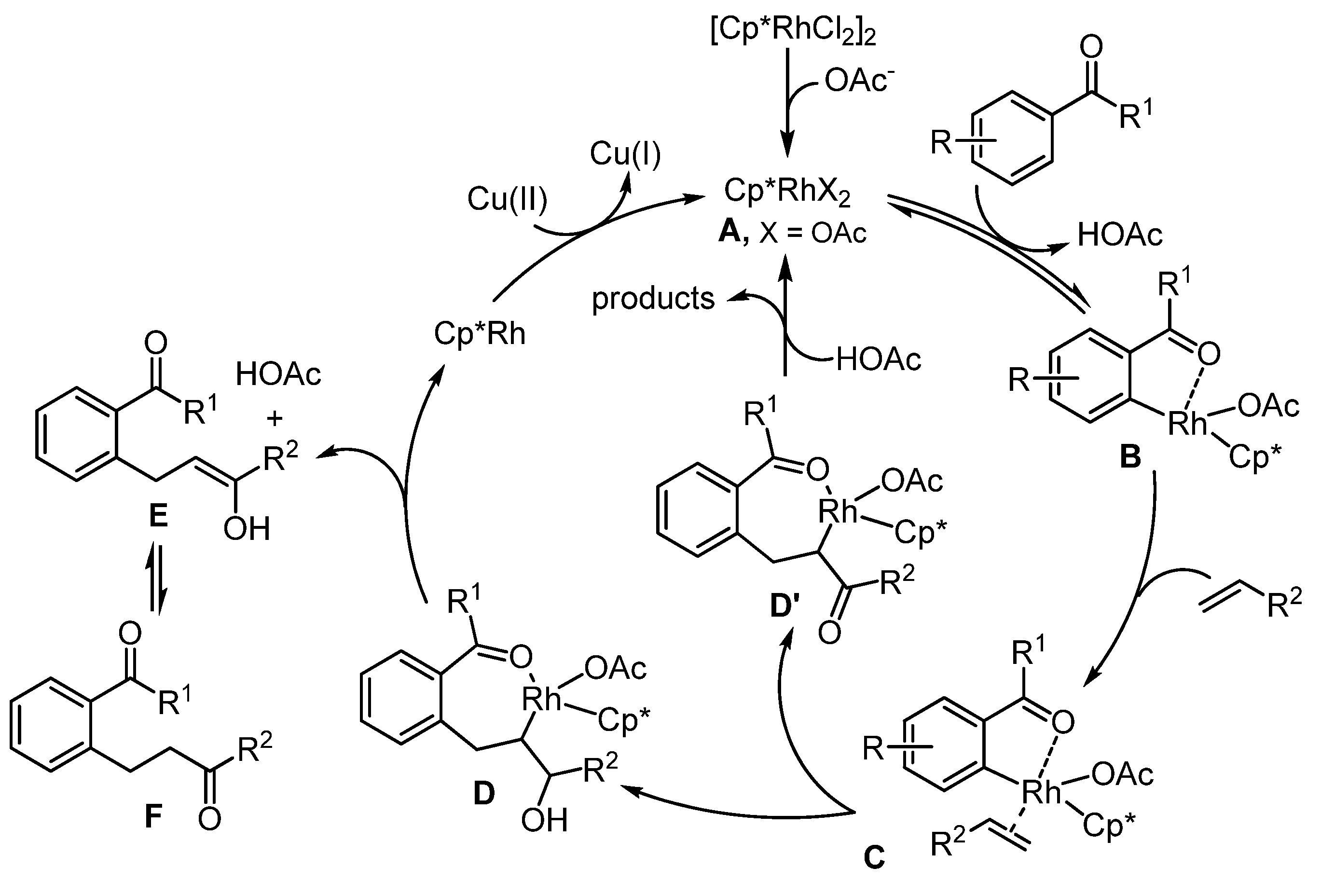 Catalysts 13 01157 sch004