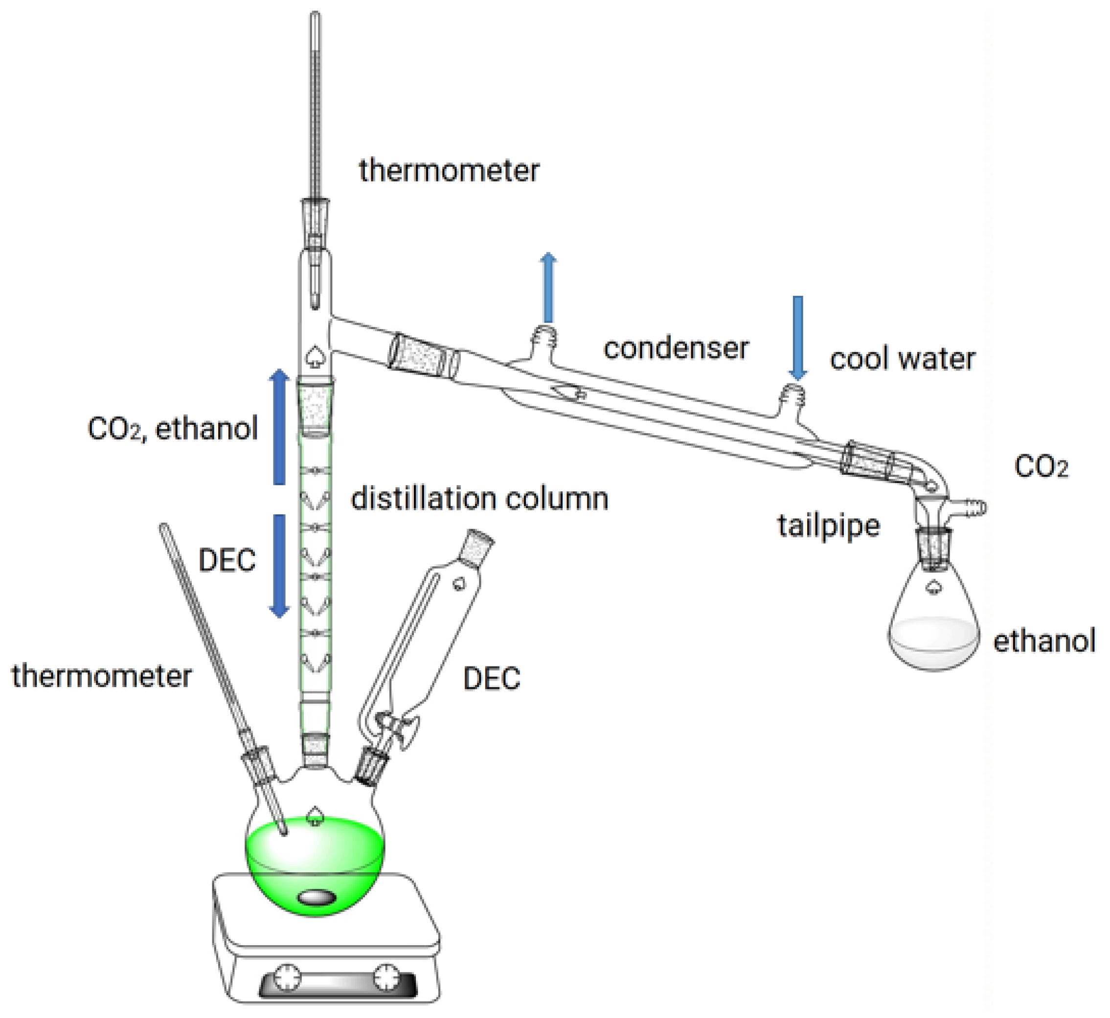Catalysts 13 01163 g011 Catalysts 13 01163 g011