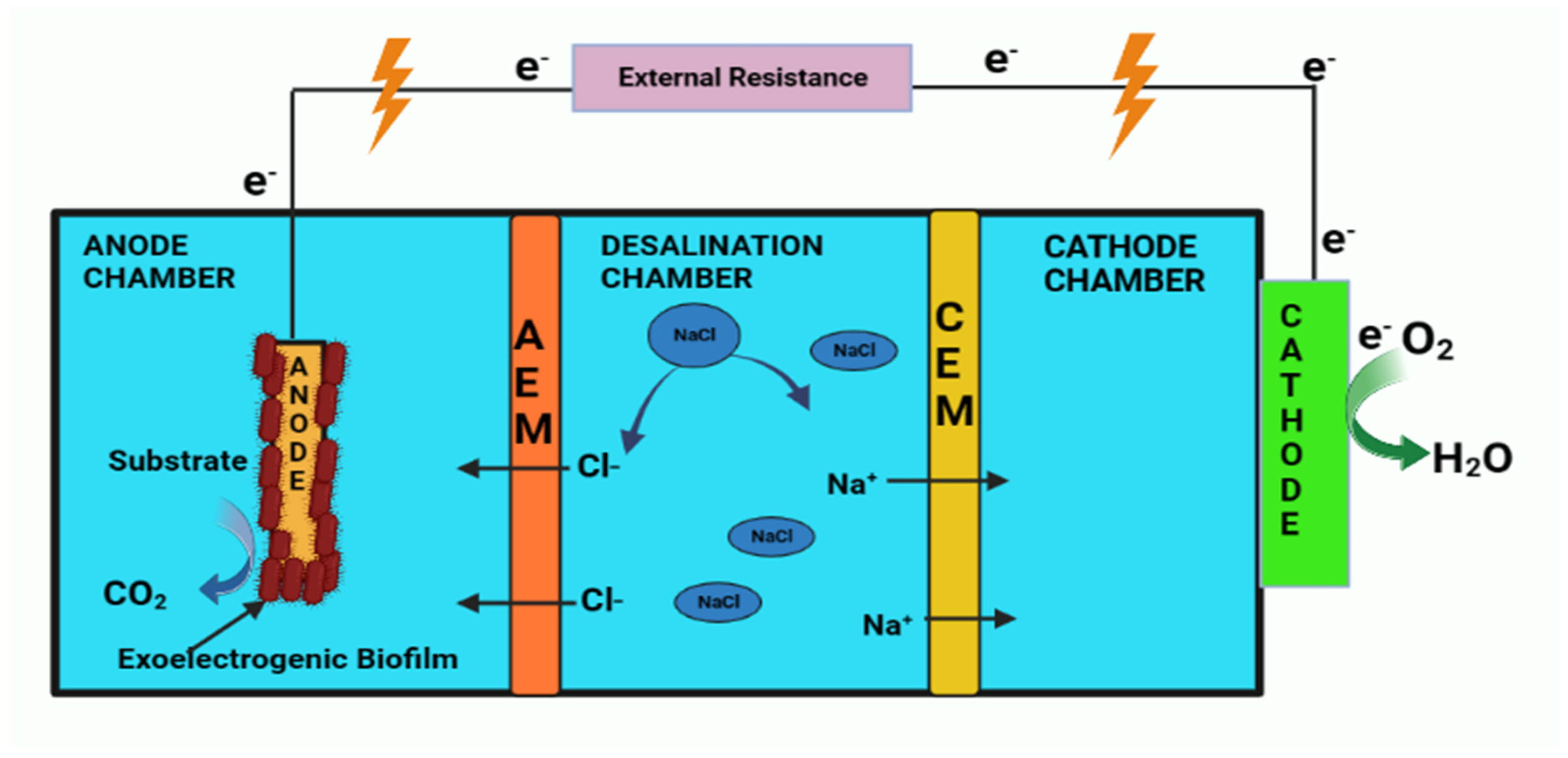 Catalysts 13 01164 g015