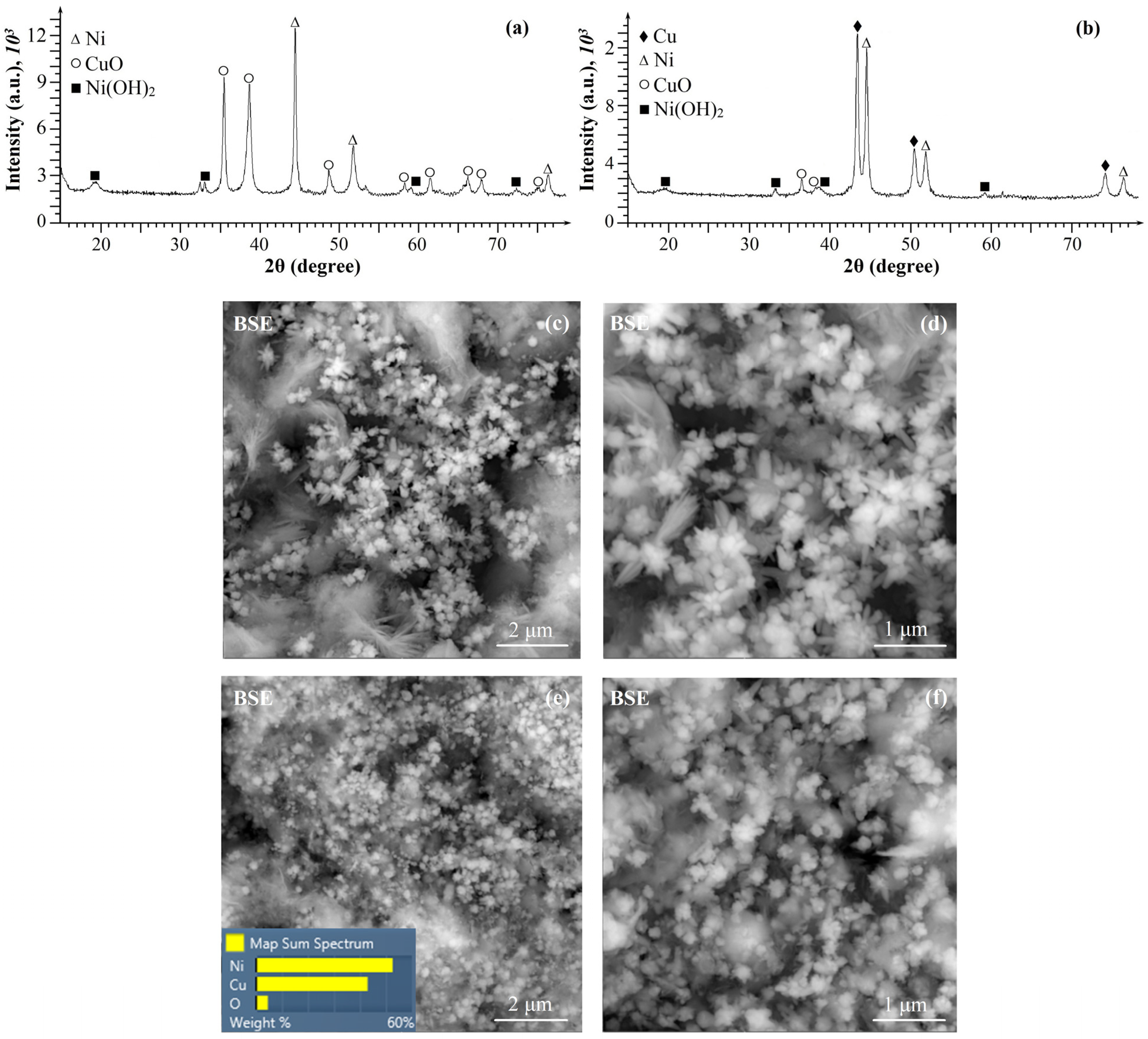 Catalysts 13 01166 g003