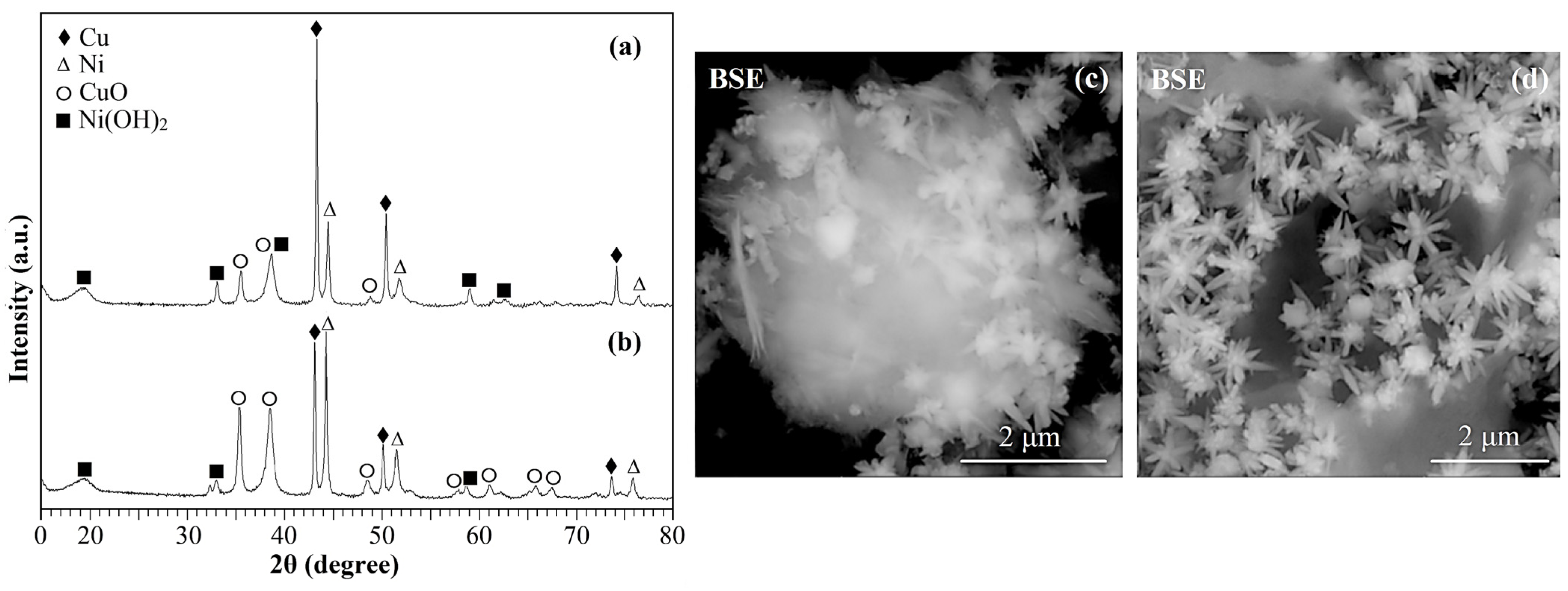 Catalysts 13 01166 g004