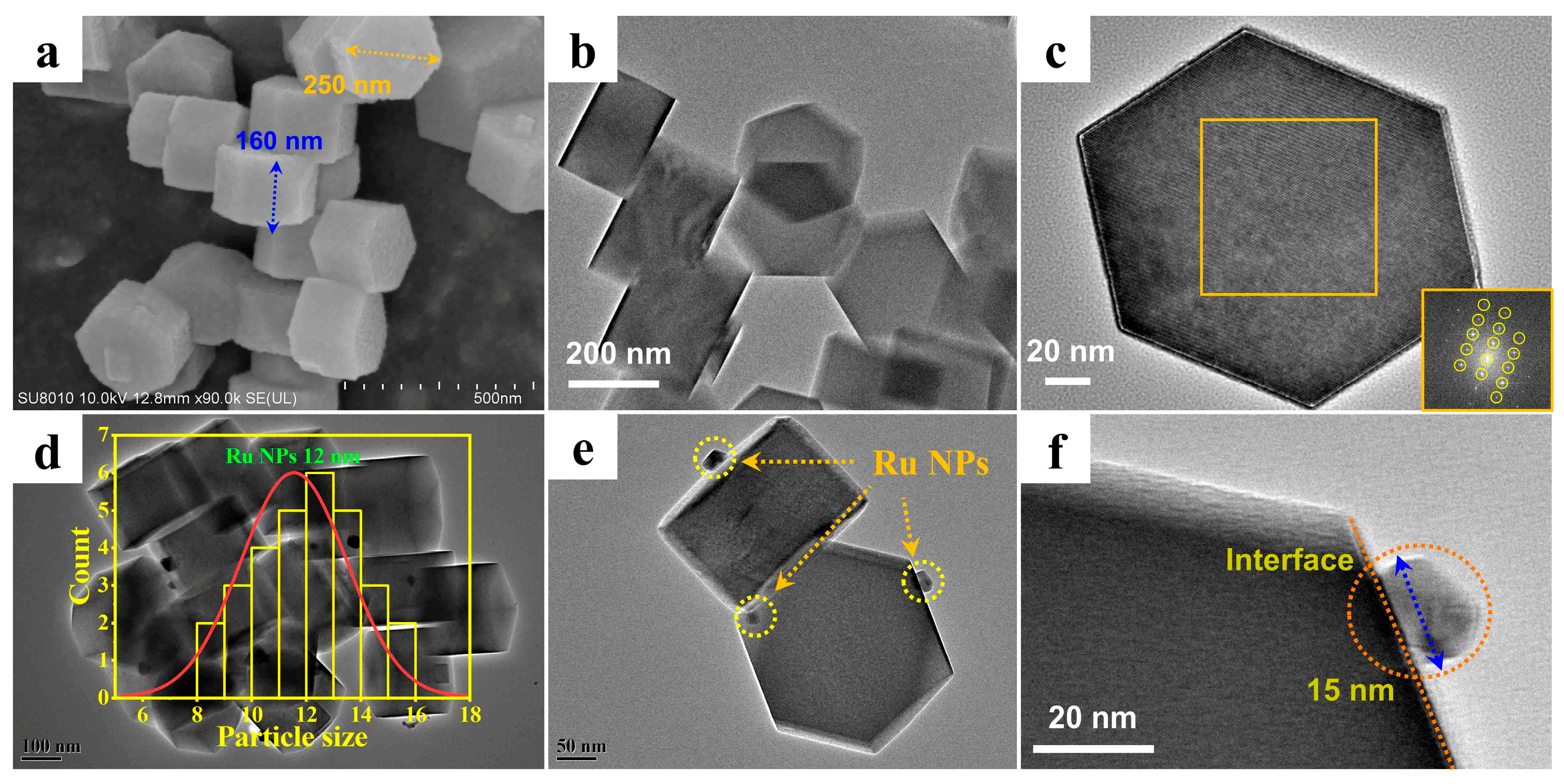 Catalysts 13 01167 g002 Catalysts 13 01167 g002