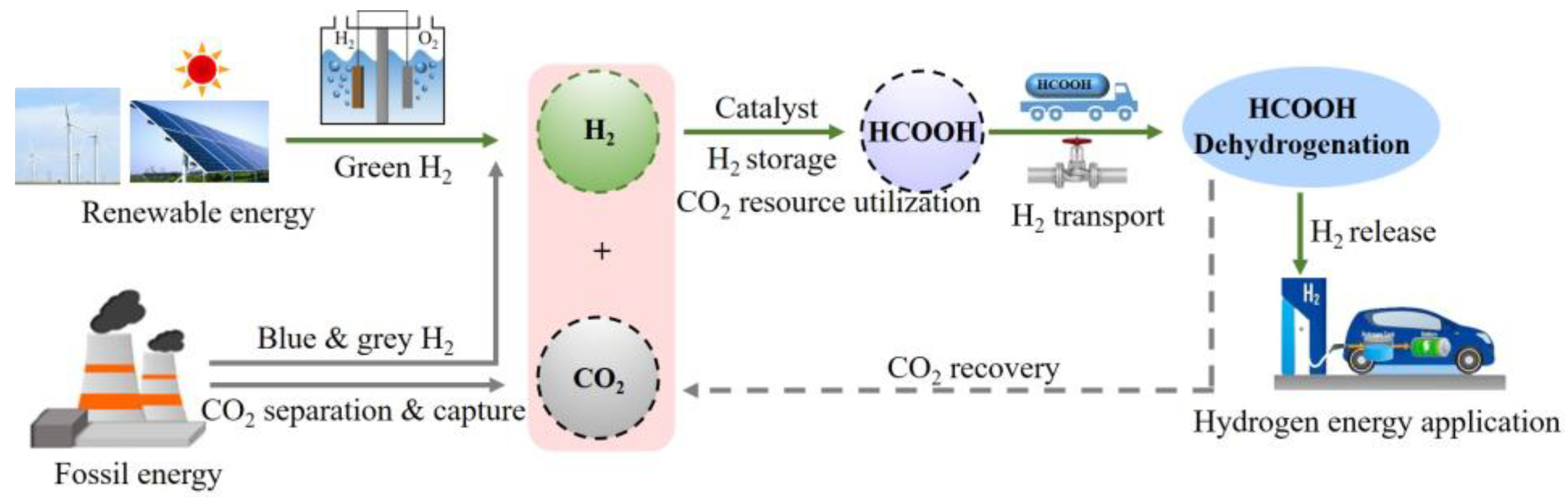 Catalysts 13 01168 g001