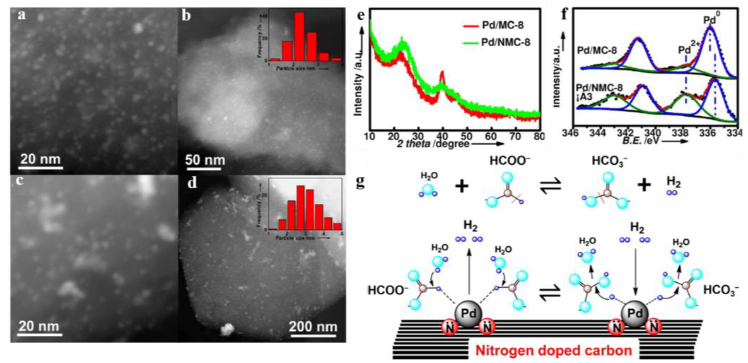 Catalysts 13 01168 g003
