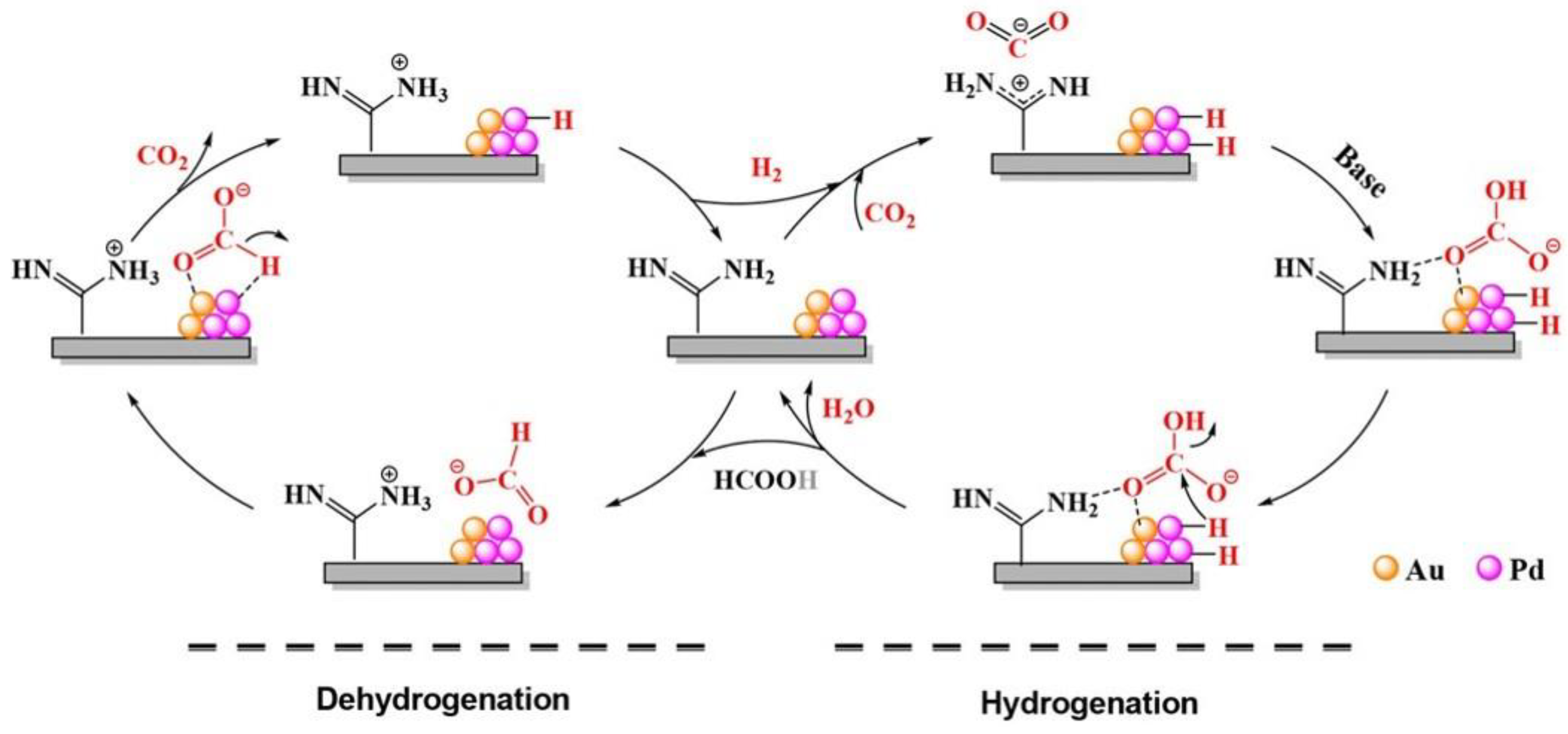 Catalysts 13 01168 g011