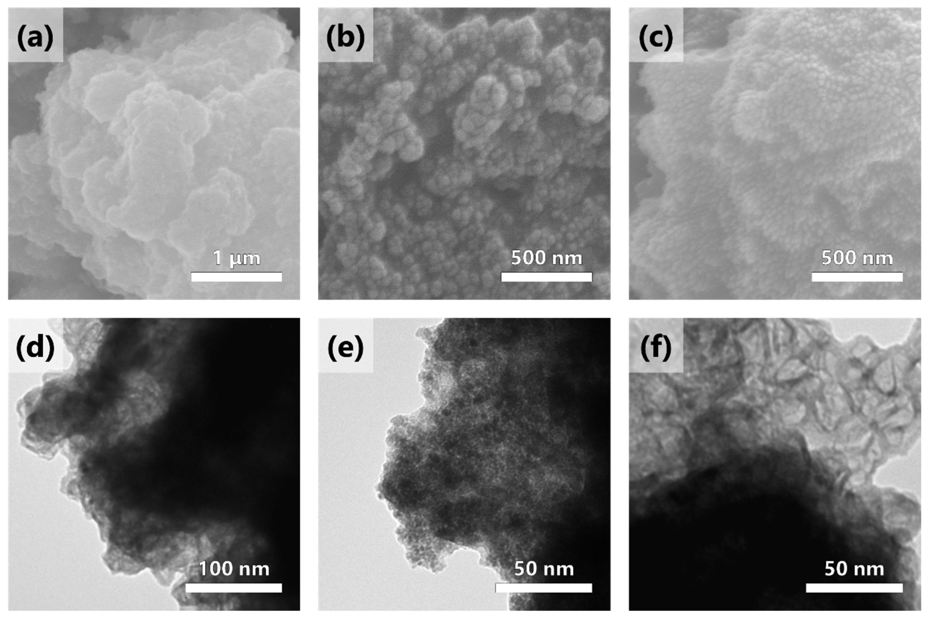 Catalysts 13 01179 g002