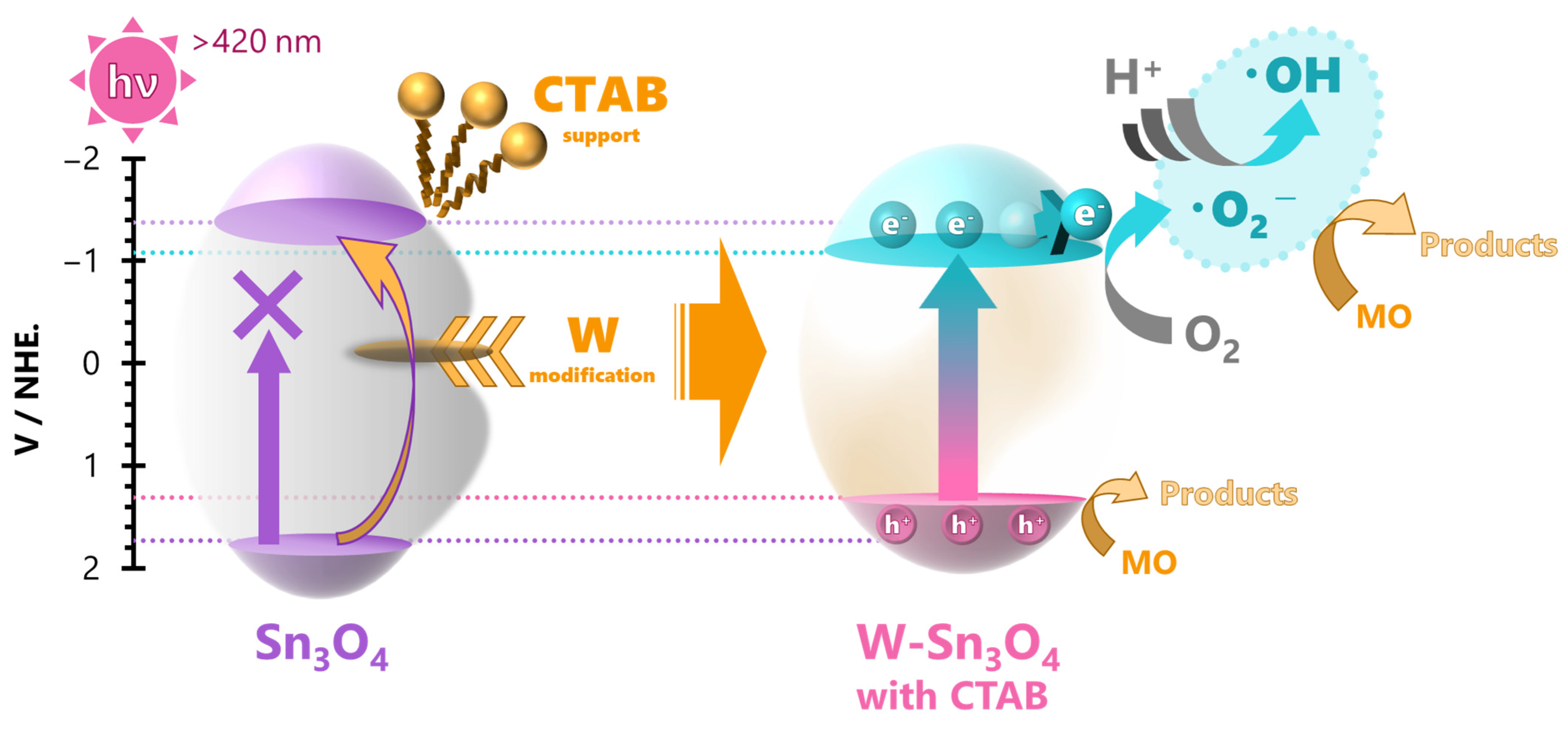 Catalysts 13 01179 g010