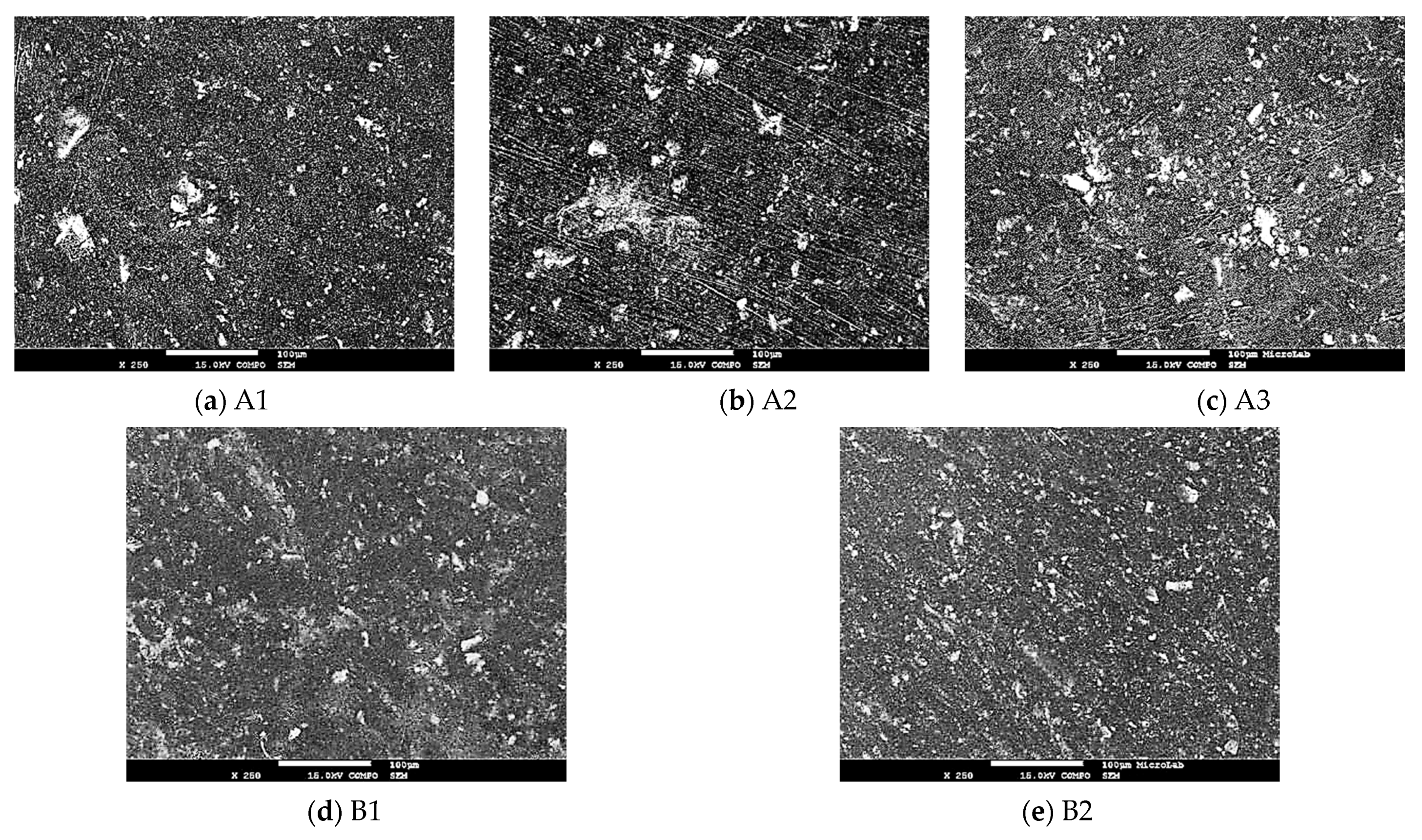 Catalysts 13 01182 g008