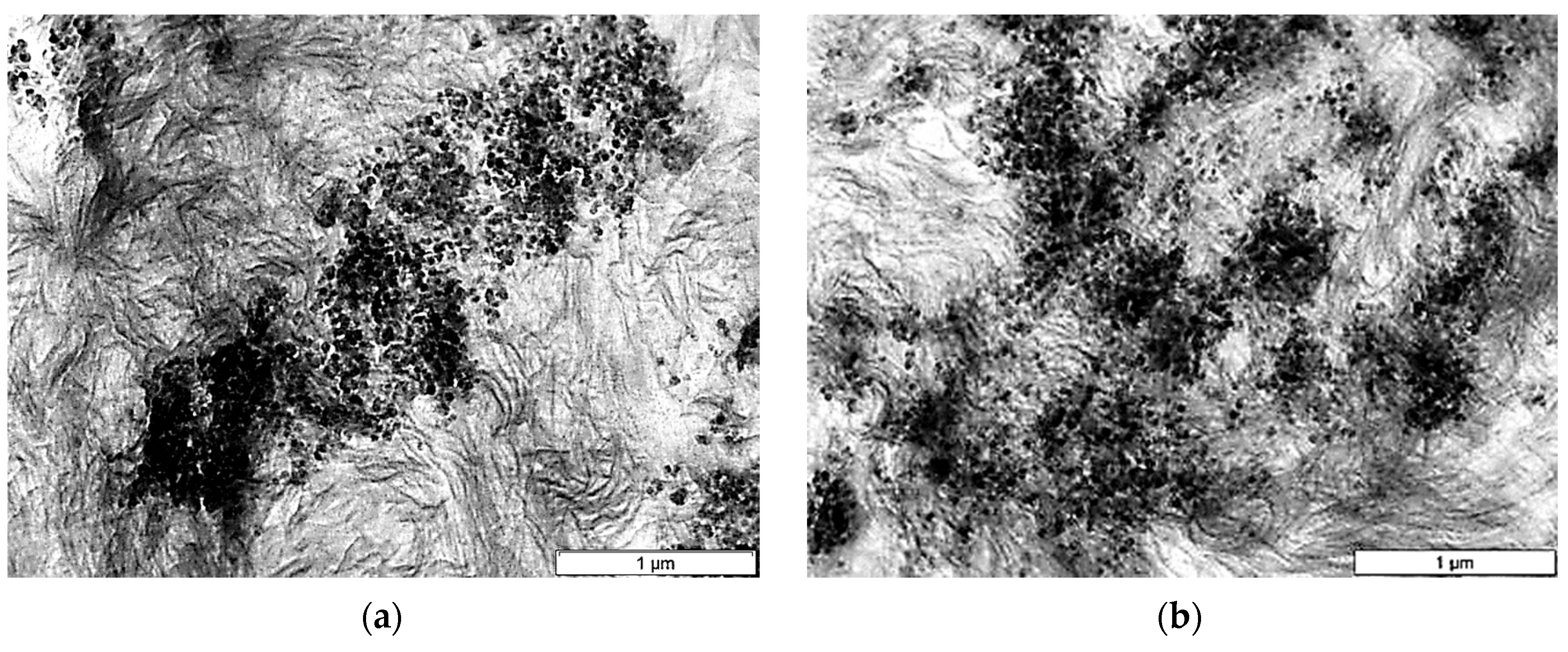 Catalysts 13 01182 g009