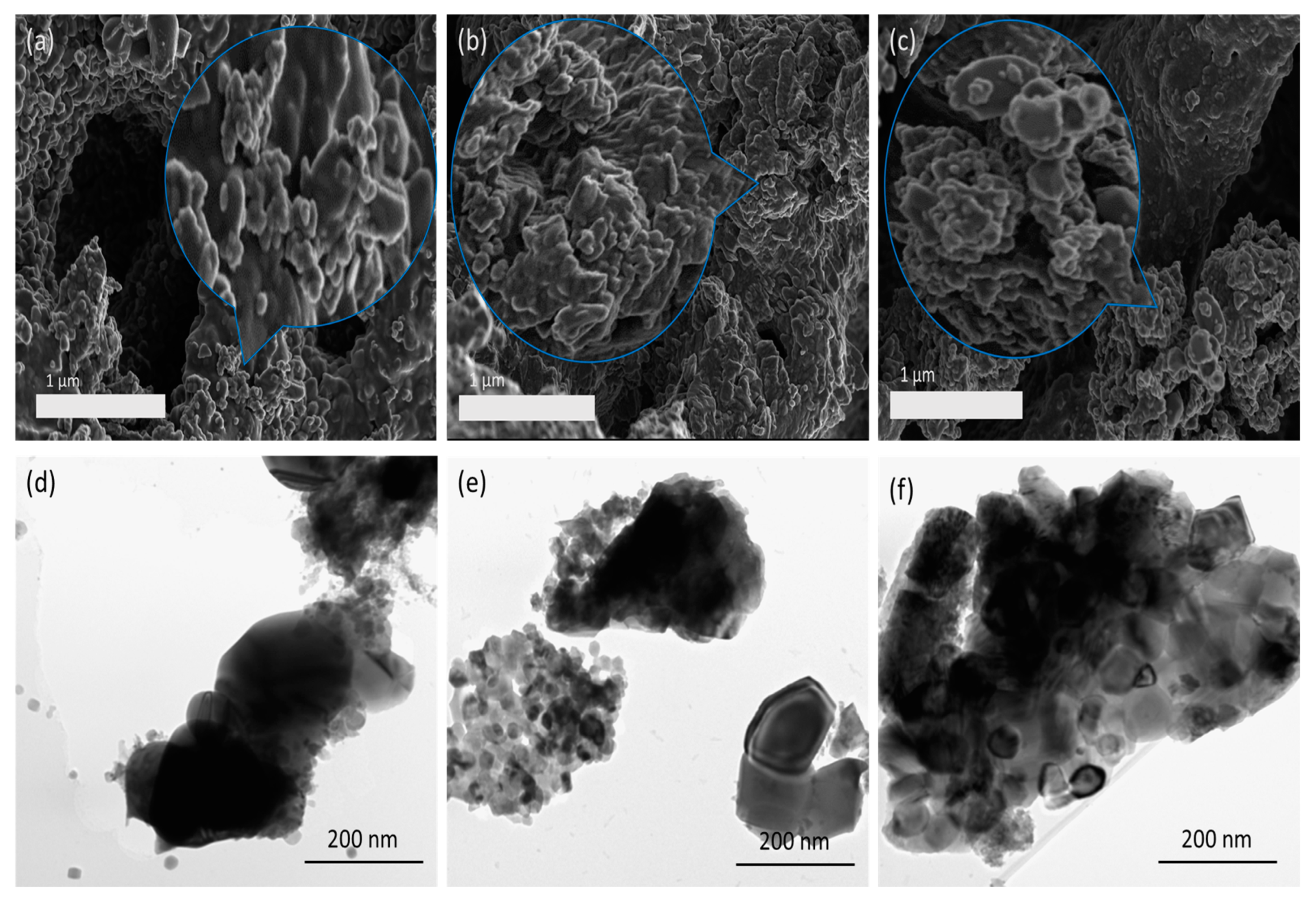 Catalysts 13 01184 g002 Catalysts 13 01184 g002