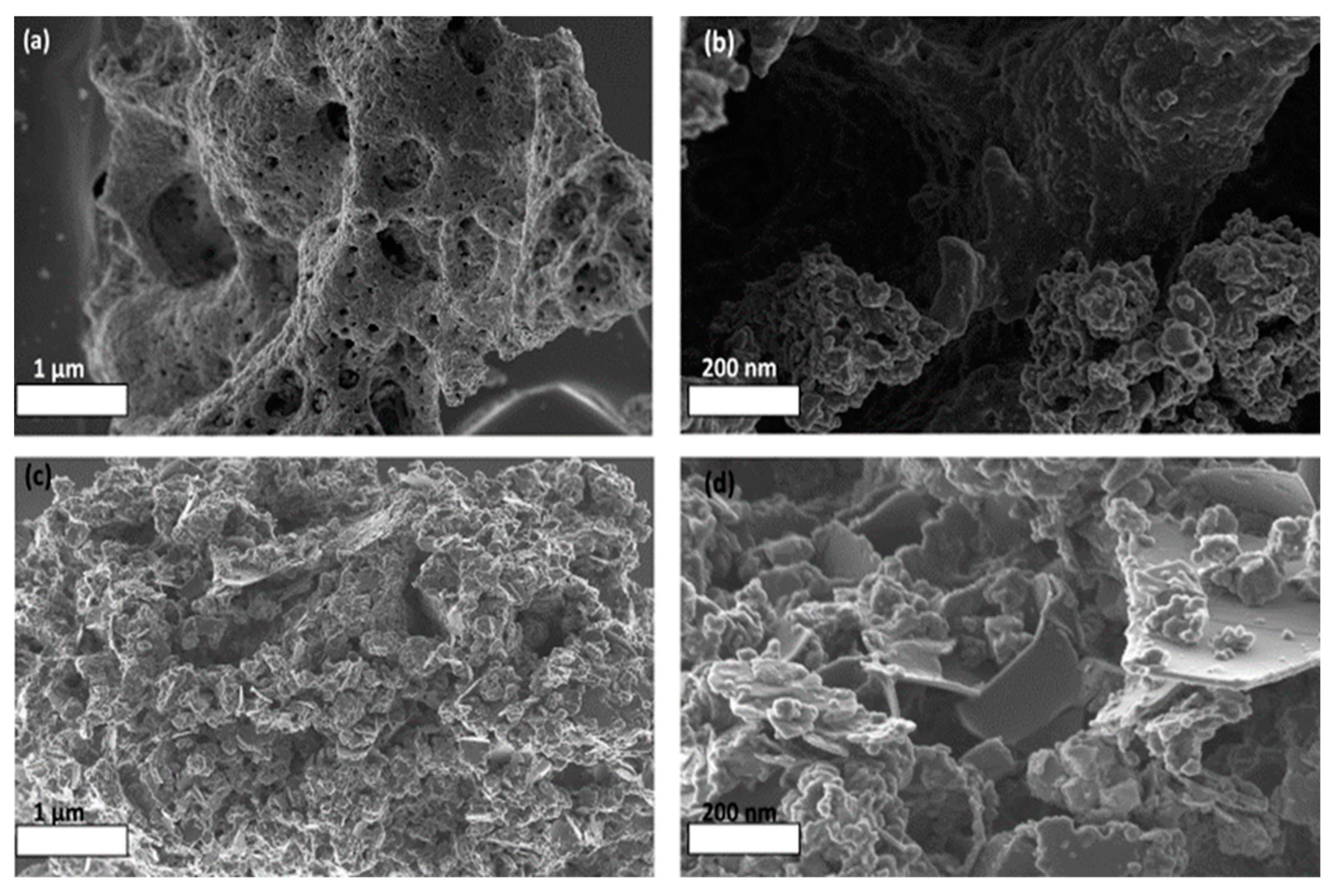 Catalysts 13 01184 g008 Catalysts 13 01184 g008