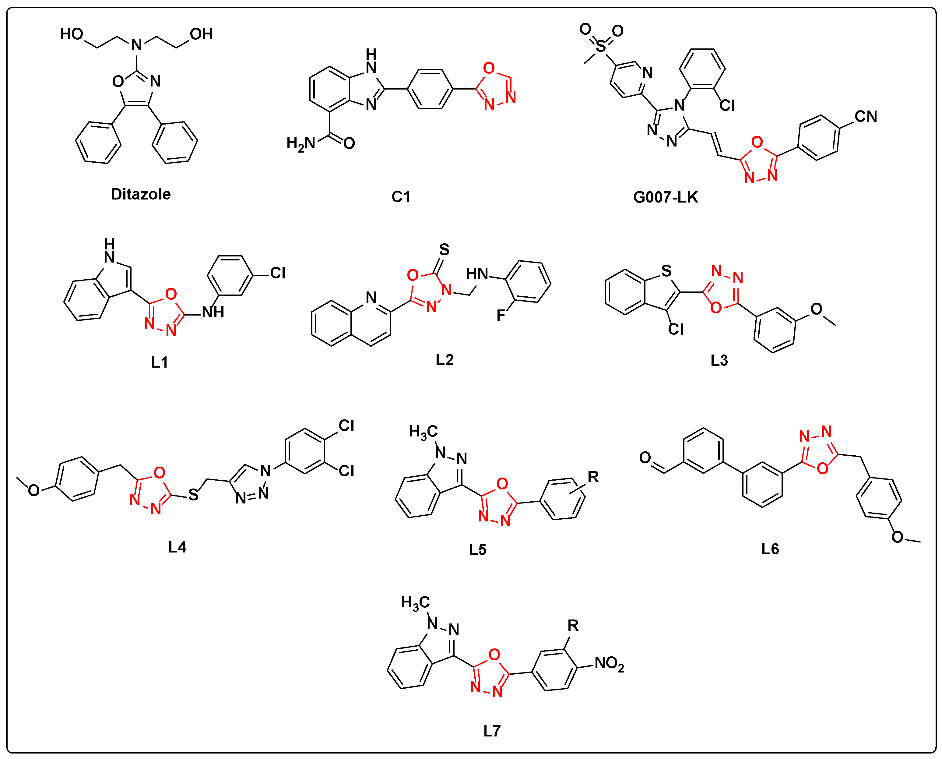 Catalysts 13 01185 g001